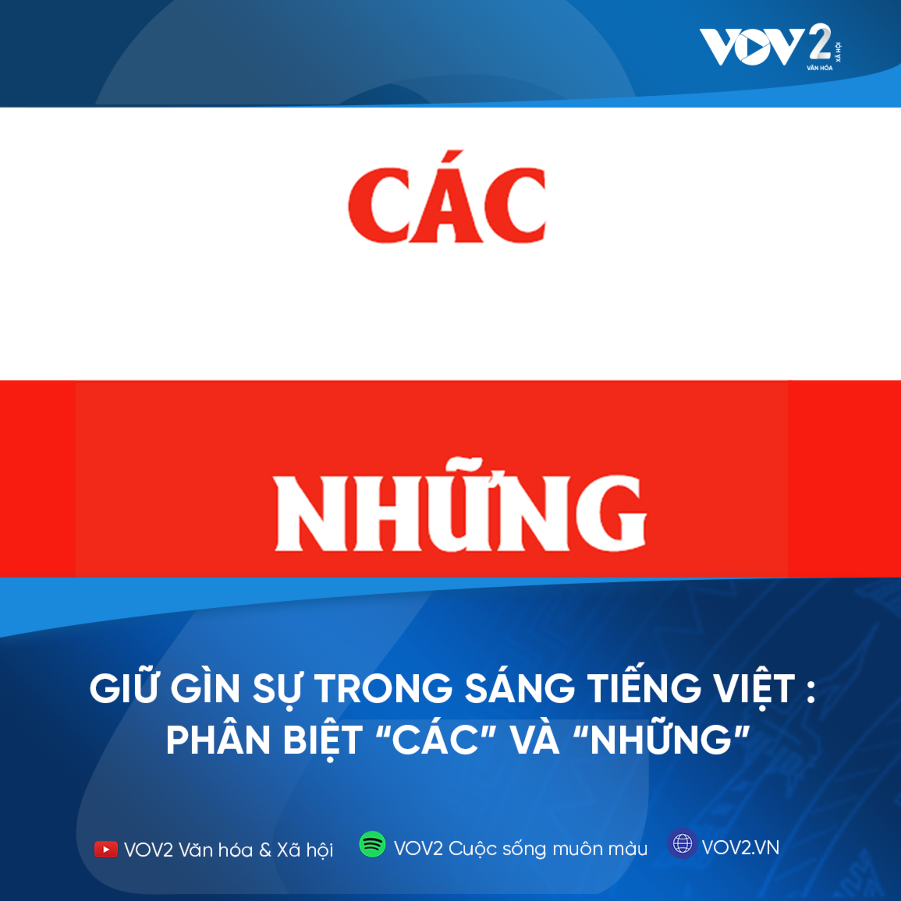 VOV2 - Giữ gìn sự trong sáng của Tiếng Việt: Phân biệt “các” và “những” episode artwork