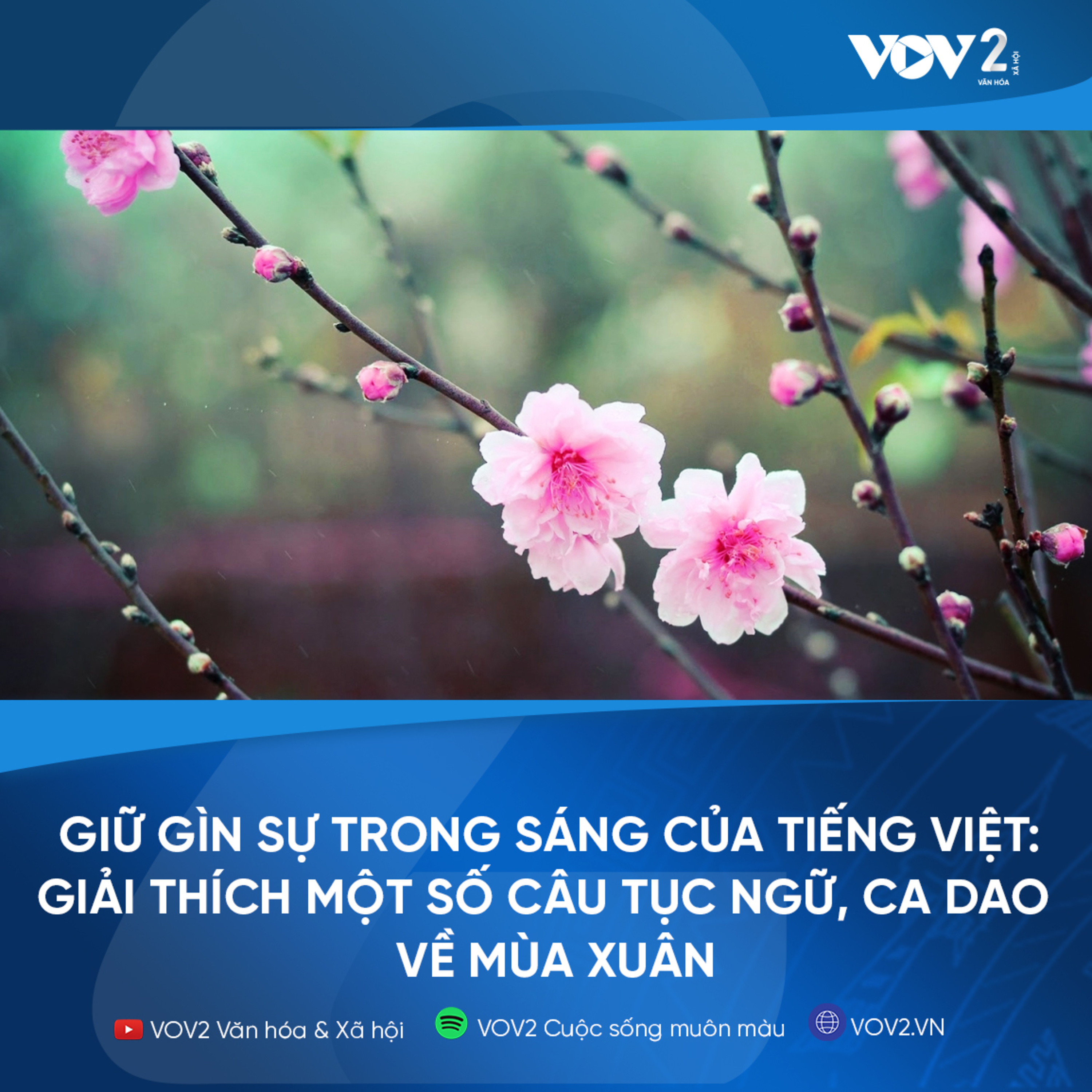 VOV2 - Giữ gìn sự trong sáng của tiếng Việt: Giải thích một số câu Tục Ngữ, Ca Dao về mùa Xuân episode artwork