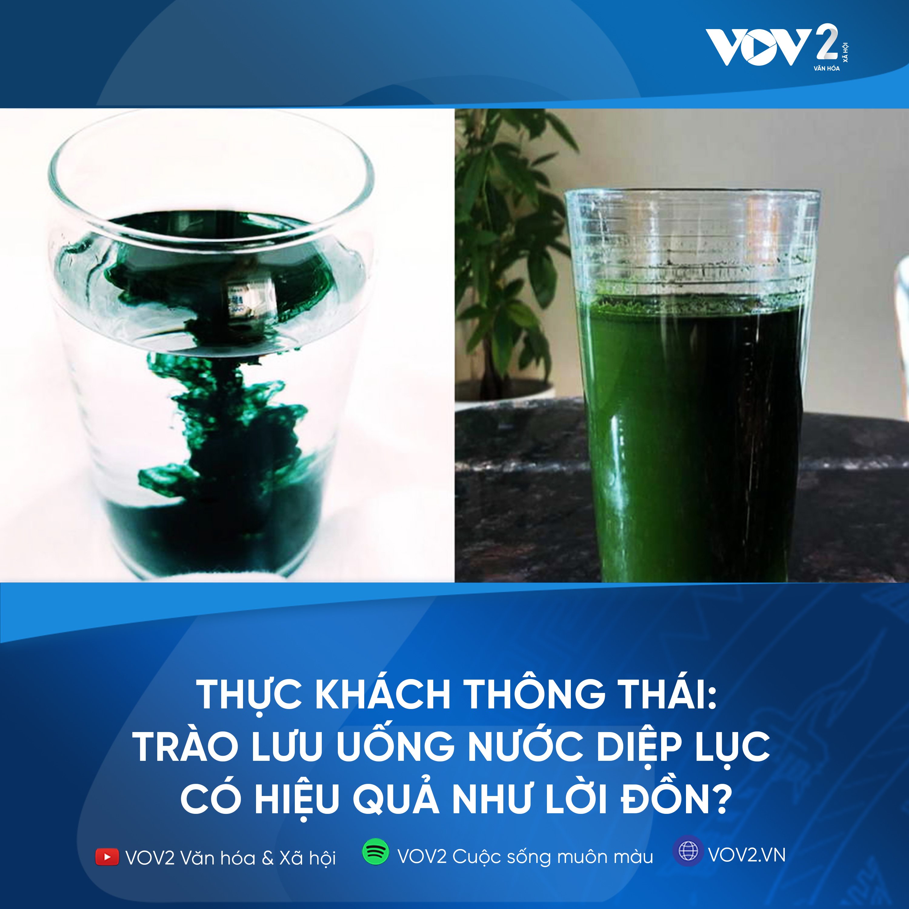 VOV2 - Thực khách thông thái: Trào lưu uống nước diệp lục có hiệu quả như lời đồn? episode artwork