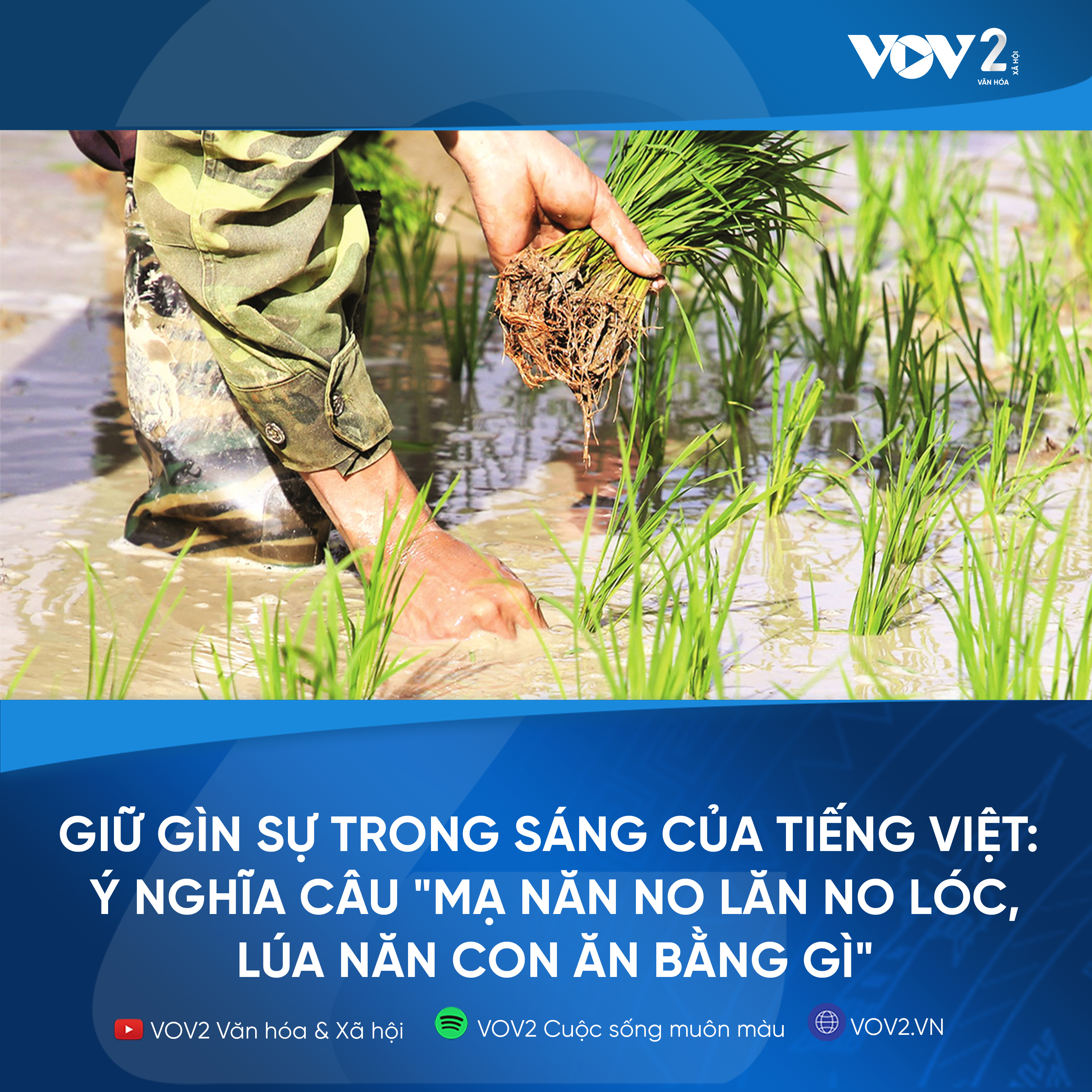 VOV2 - Giữ gìn sự trong sáng của Tiếng Việt: Ý nghĩa câu tục ngữ "Mạ năn no lăn no lóc, lúa năn con ăn bằng gì" episode artwork