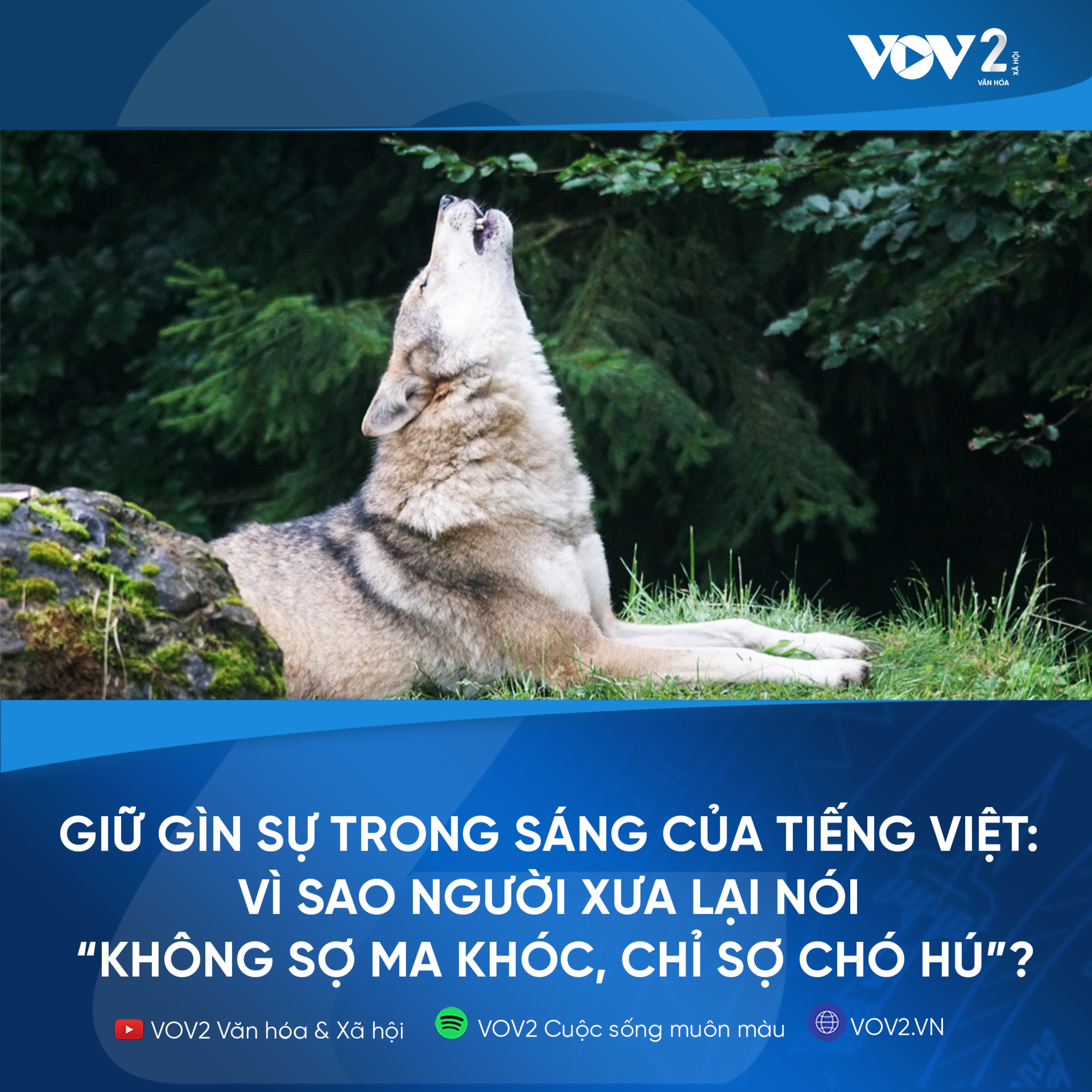 VOV2 - GIữ gìn sự trong sáng của tiếng Việt: Vì sao người xưa lại nói “không sợ ma khóc, chỉ sợ chó hú”? episode artwork