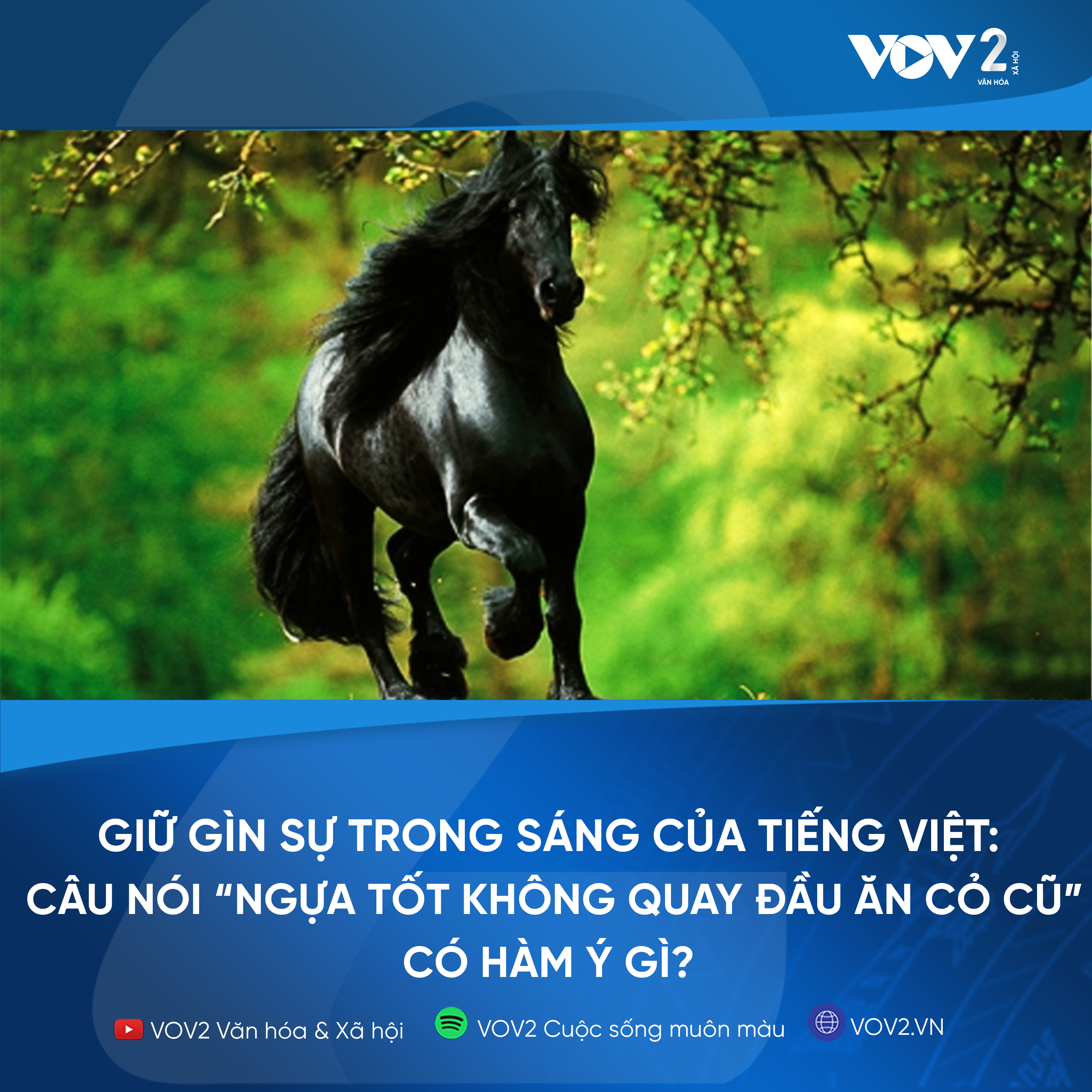 VOV2 - Giữ gìn sự trong sáng của tiếng Việt Câu nói “Ngựa tốt không quay đầu ăn cỏ cũ” có hàm ý gì? episode artwork