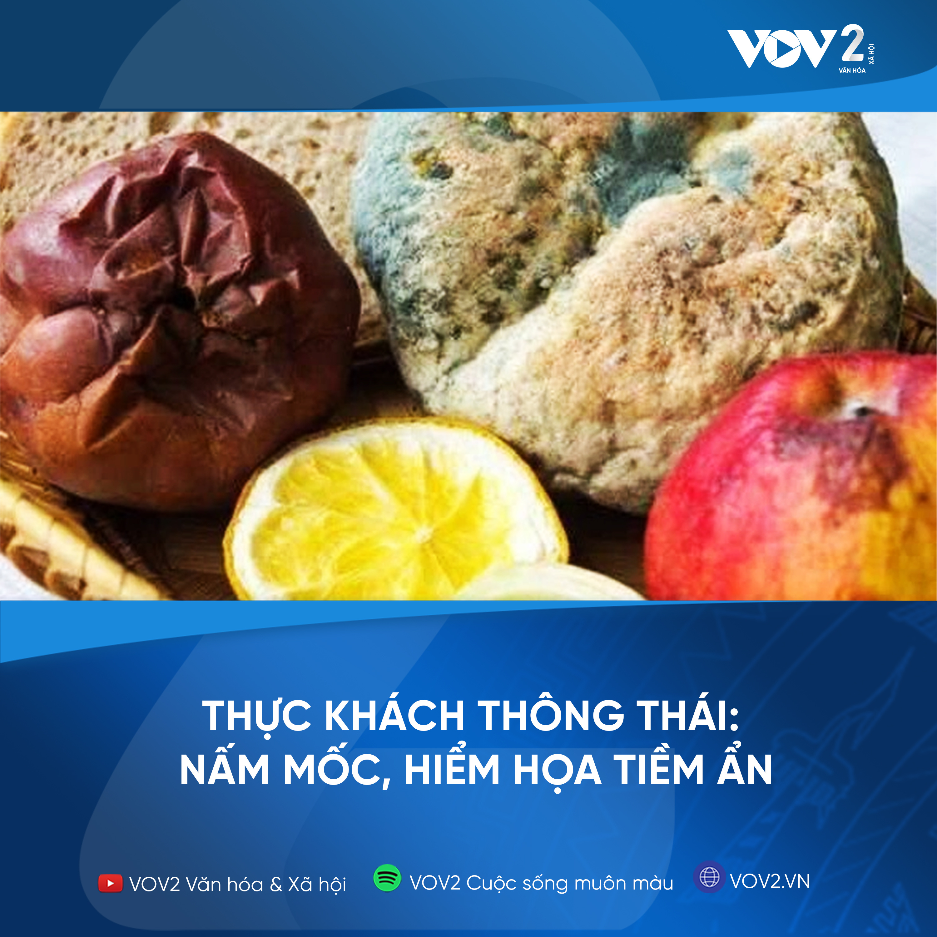 VOV2 - Thực khách thông thái: Nấm mốc, hiểm họa tiềm ẩn episode artwork