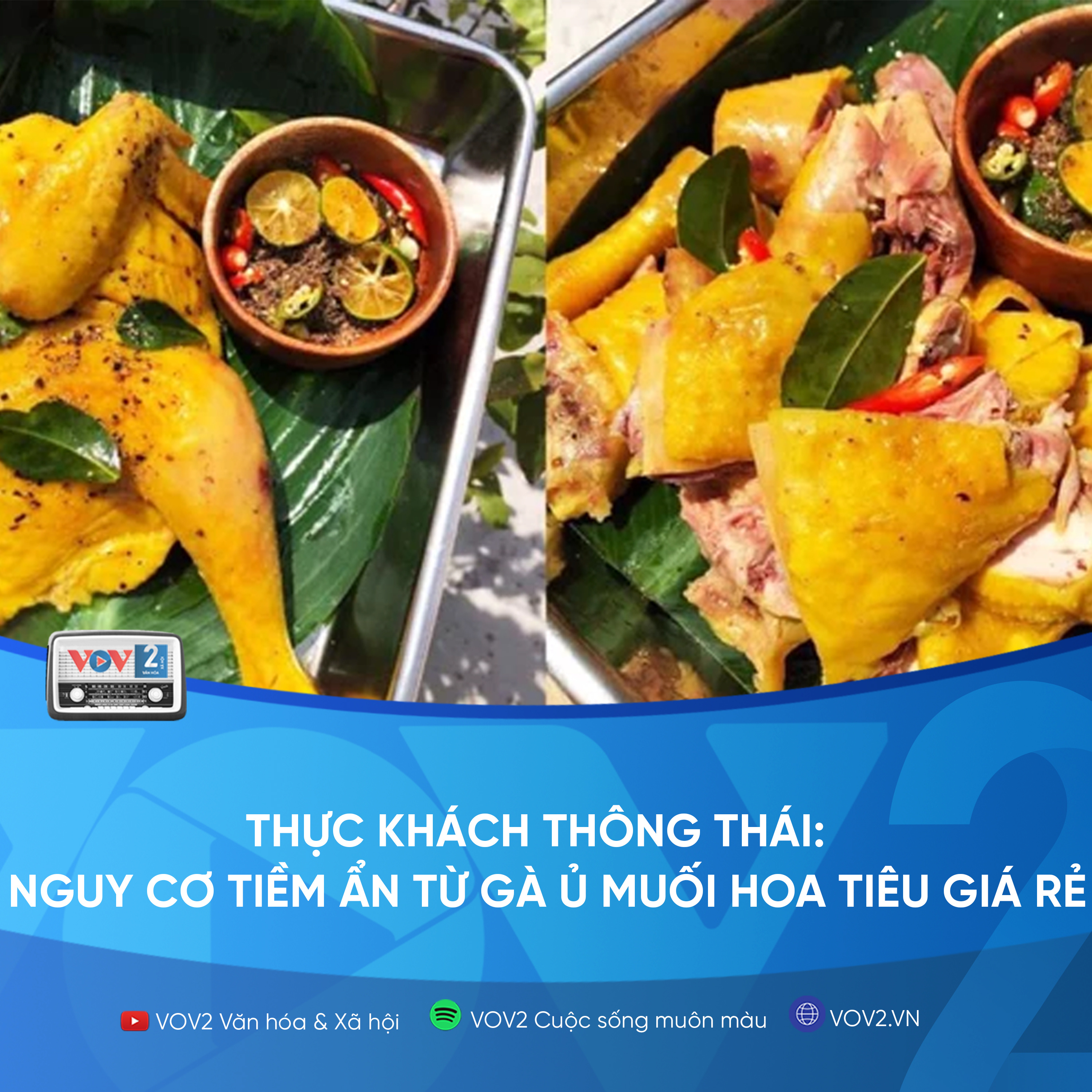VOV2 - Thực khách thông thái: Nguy cơ tiềm ẩn từ gà ủ muối hoa tiêu giá rẻ  episode artwork