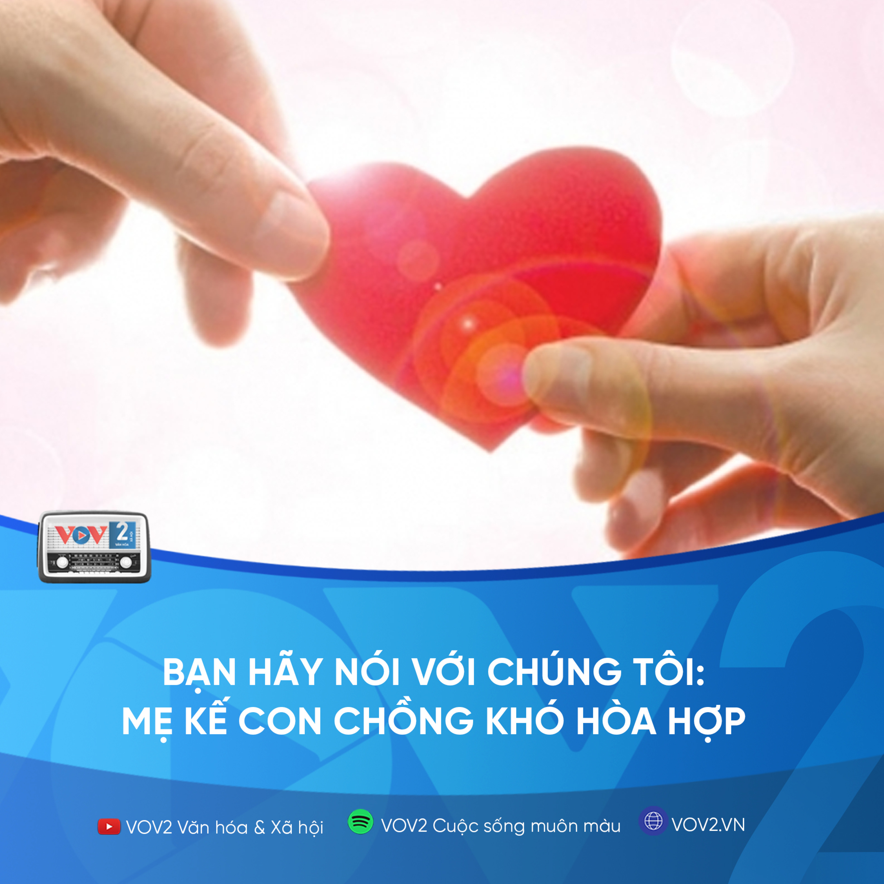 VOV2 - Bạn hãy nói với chúng tôi: Mẹ kế con chồng khó hòa hợp episode artwork