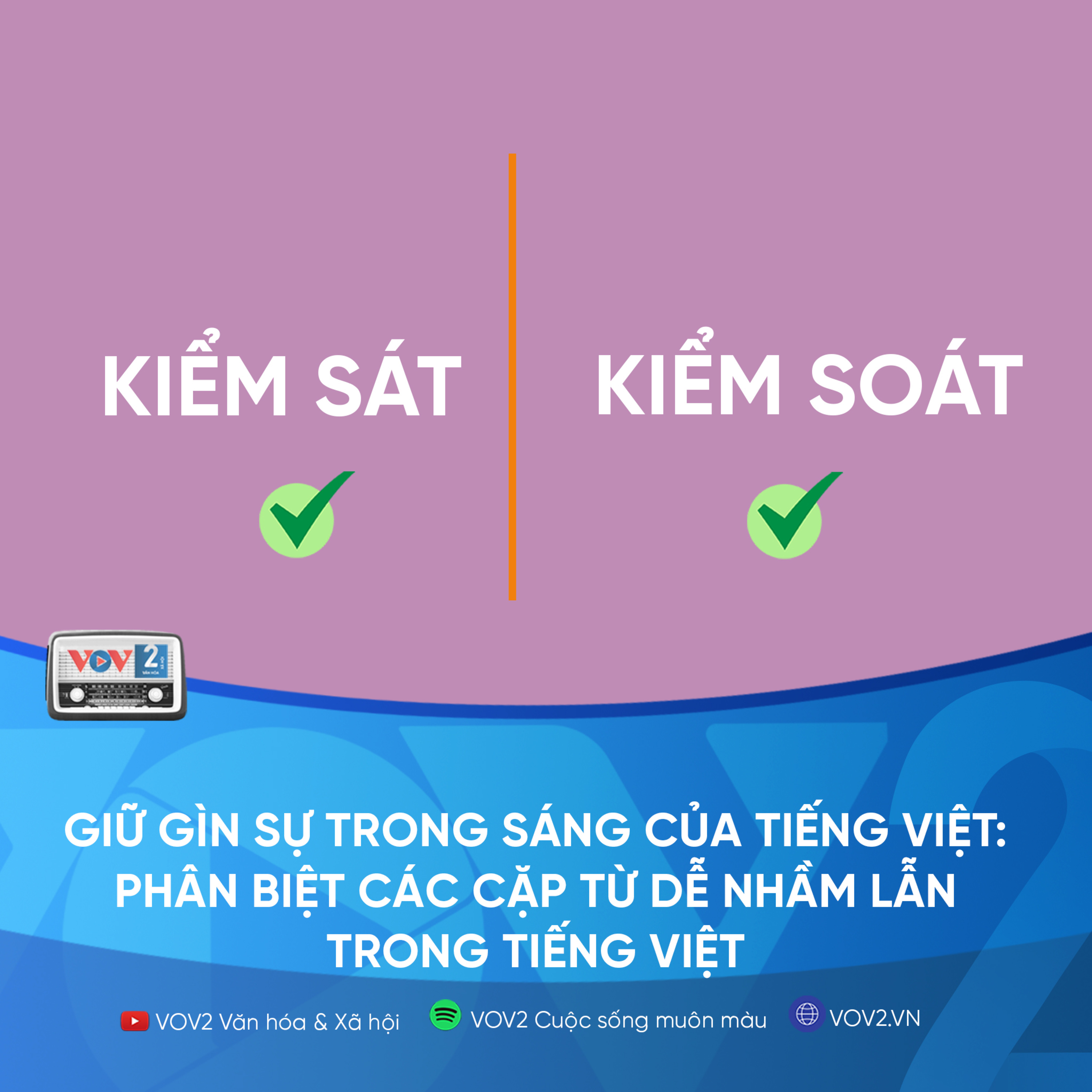 VOV2 - Giữ gìn sự trong sáng của tiếng Việt: Phân biệt các cặp từ dễ nhầm lẫn trong tiếng việt episode artwork