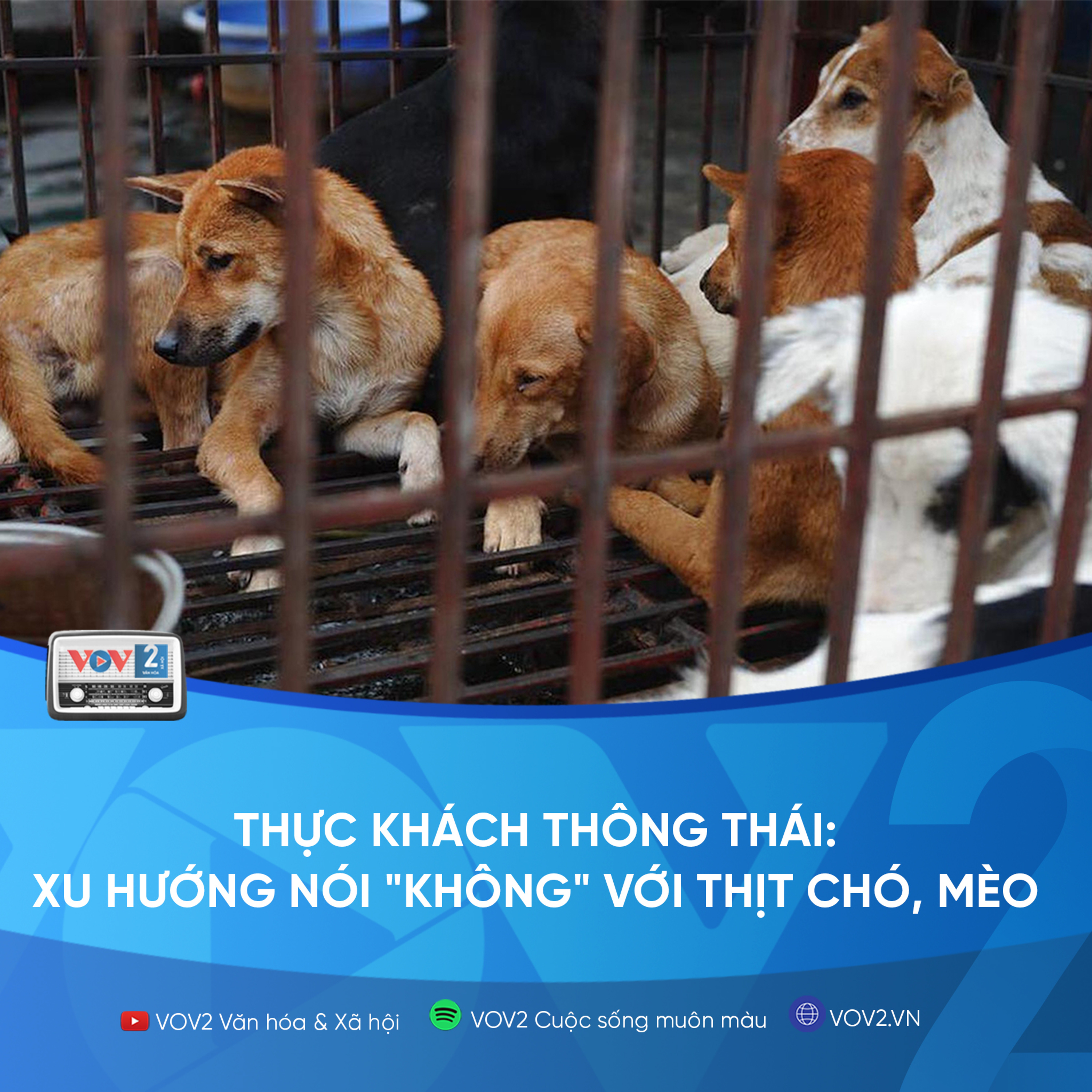 VOV2 - Thực khách thông thái: Xu hướng nói "không" với thịt chó, mèo episode artwork