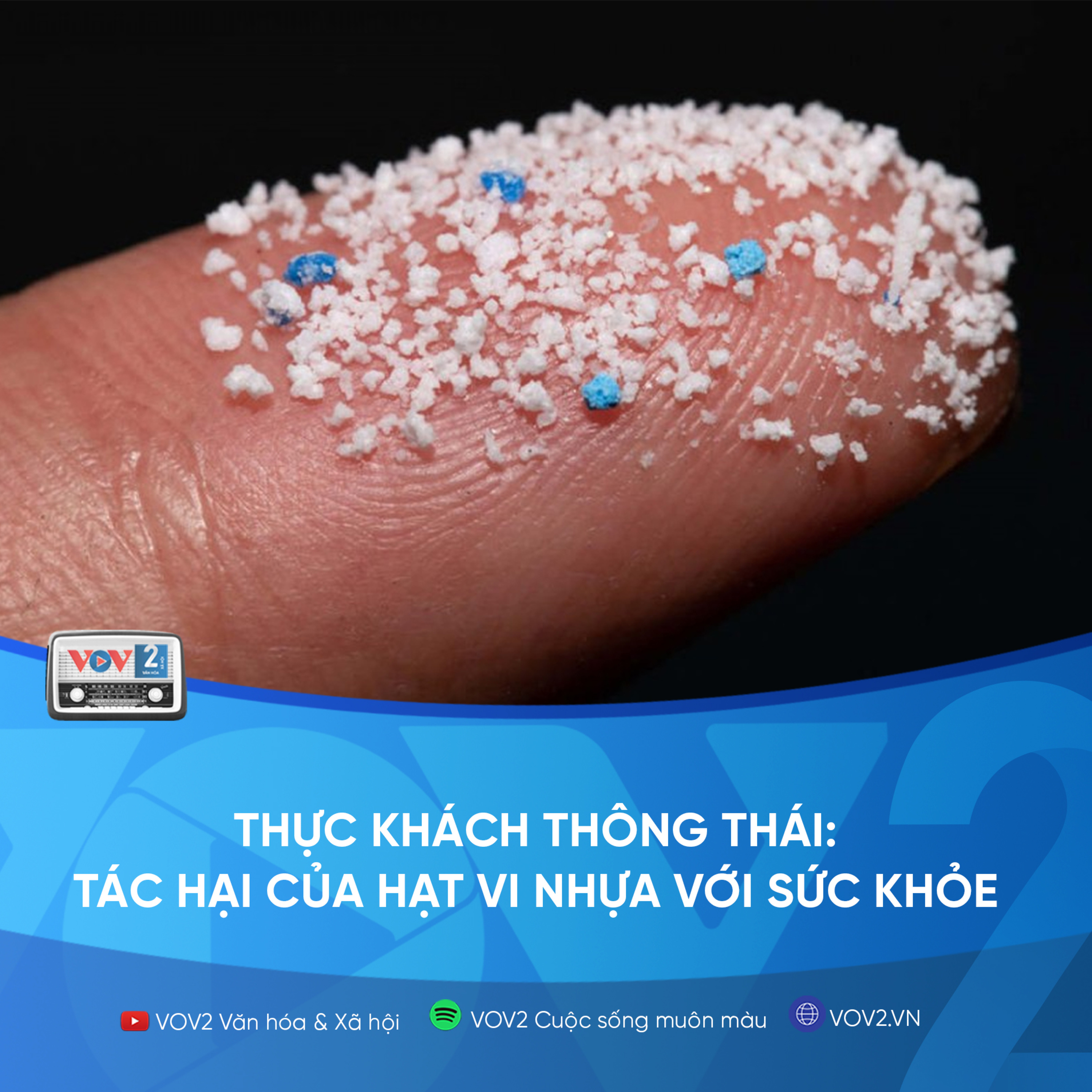 VOV2 - Thực khách thông thái: Tác hại của hạt vi nhựa với sức khỏe episode artwork