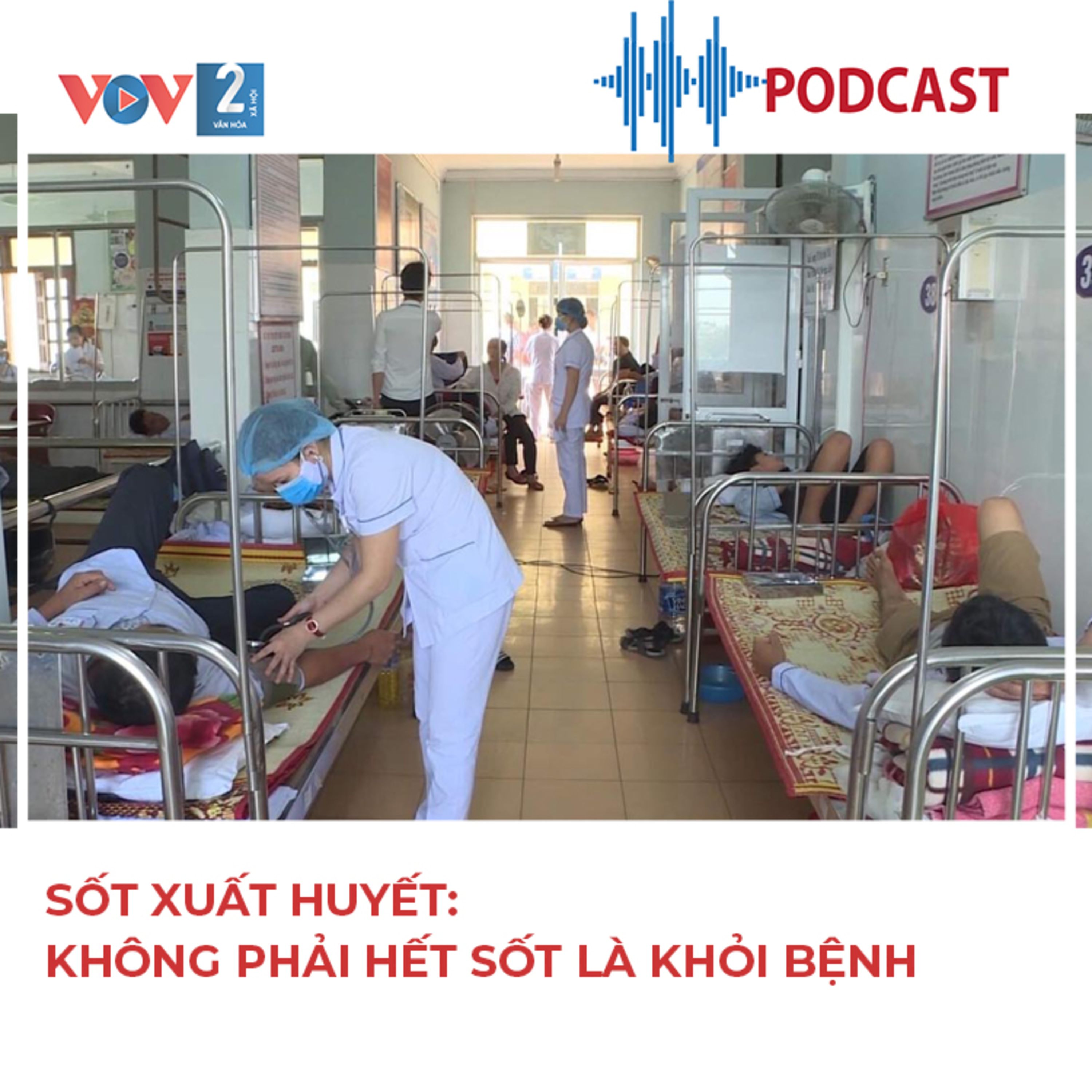 VOV2 - Cùng bạn sống khỏe: Sốt xuất huyết: không phải hết sốt là khỏi bệnh episode artwork