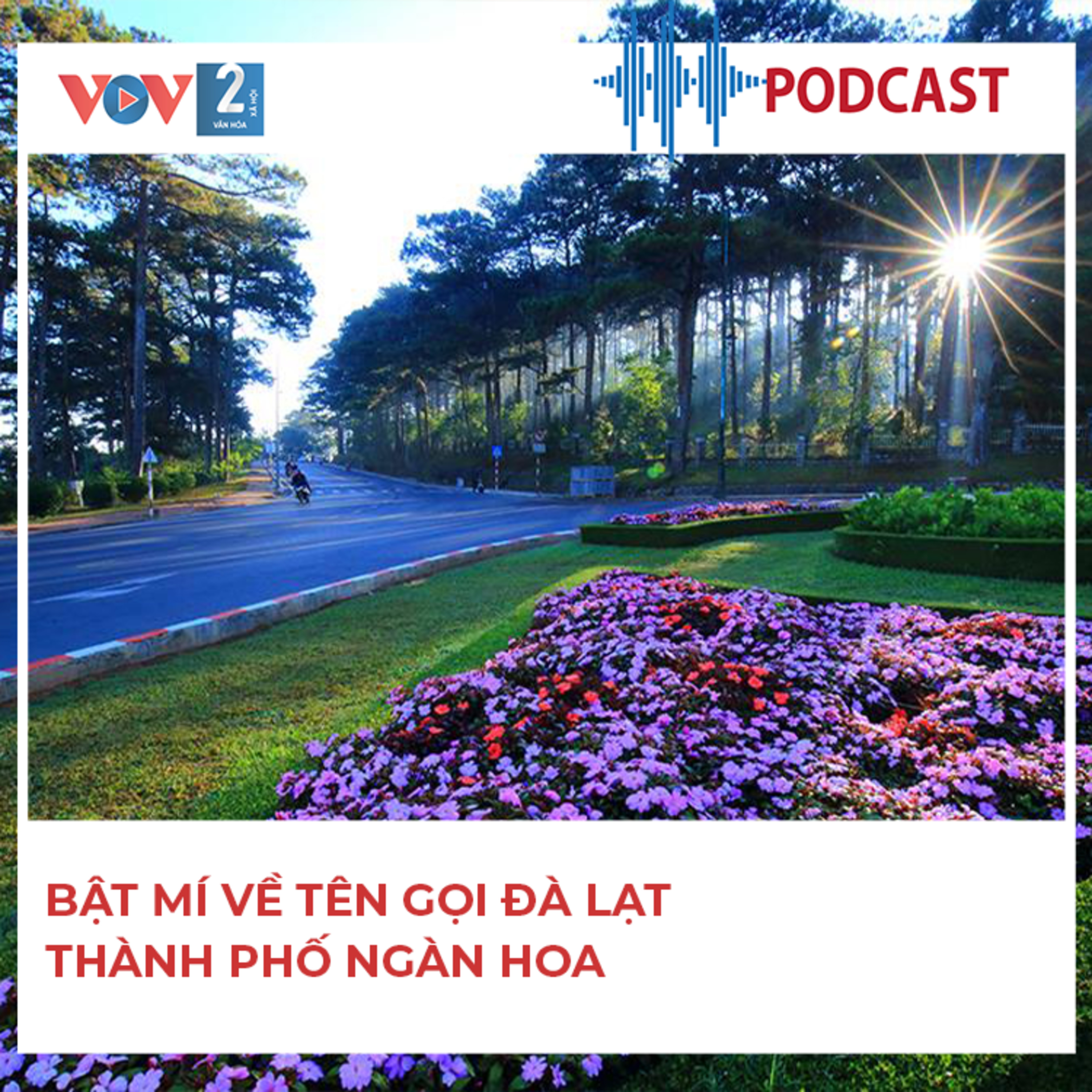 Bật mí về tên gọi Đà Lạt – thành phố ngàn hoa episode artwork