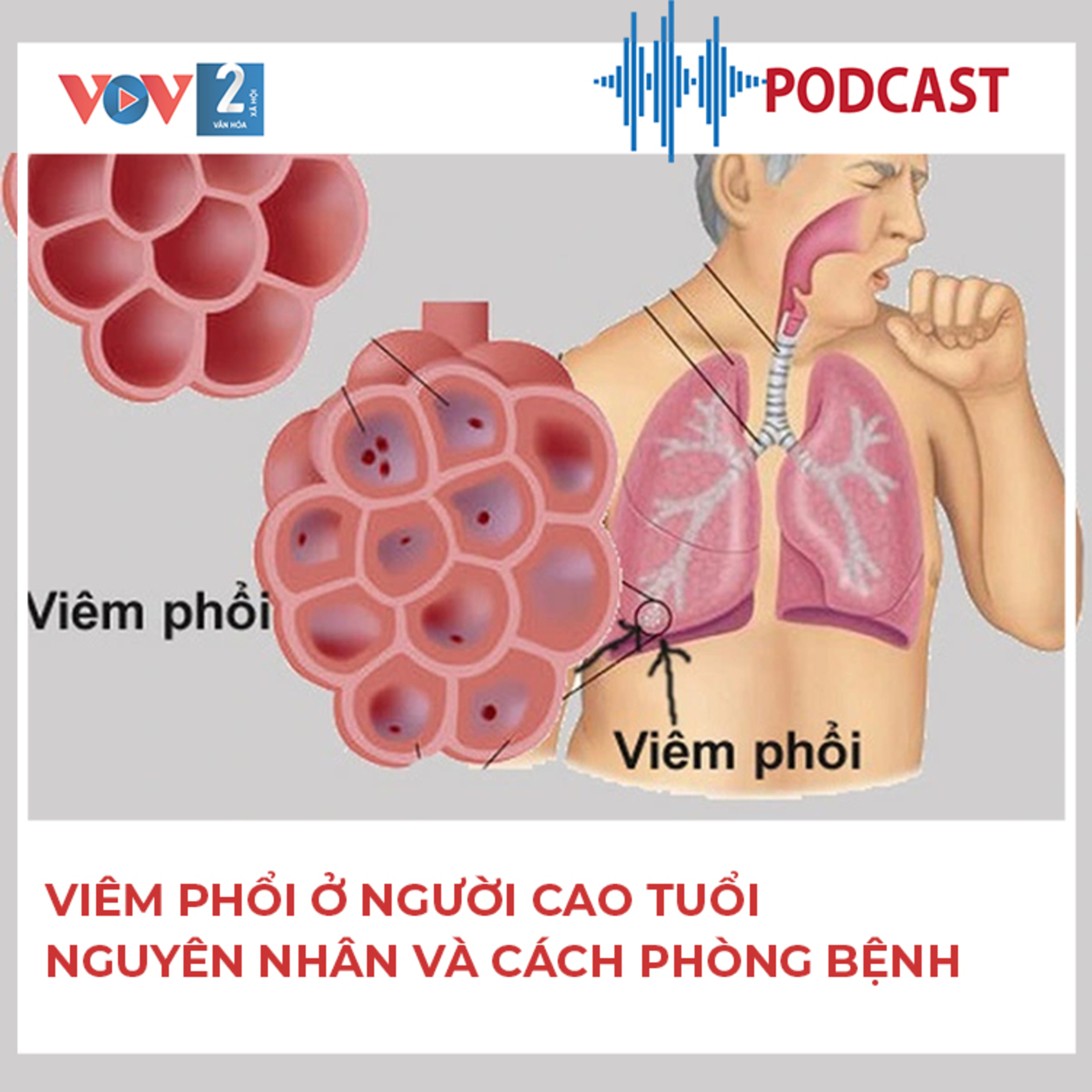 Viêm phổi ở người cao tuổi - nguyên nhân và cách phòng bệnh  episode artwork