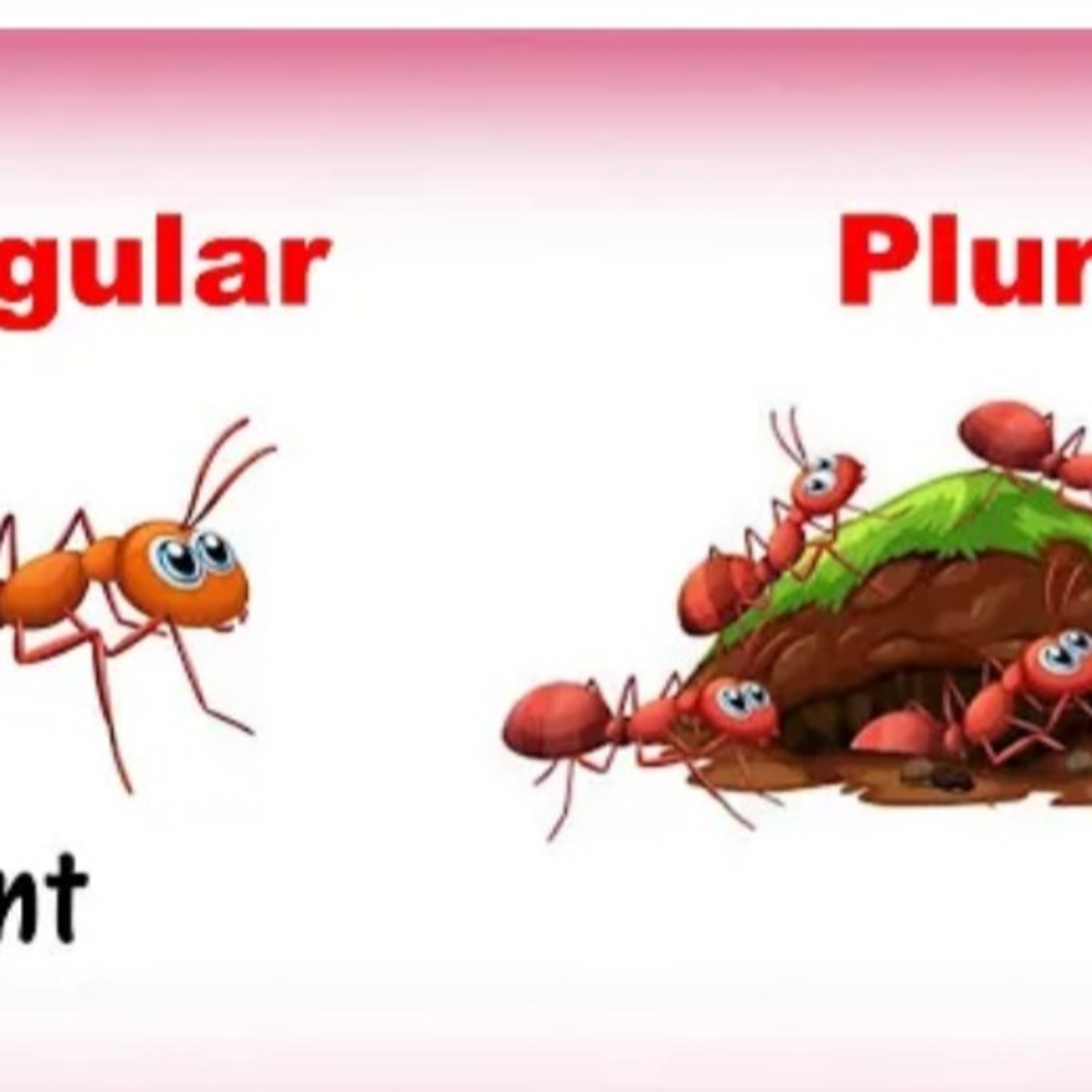 Singular and plural episode artwork