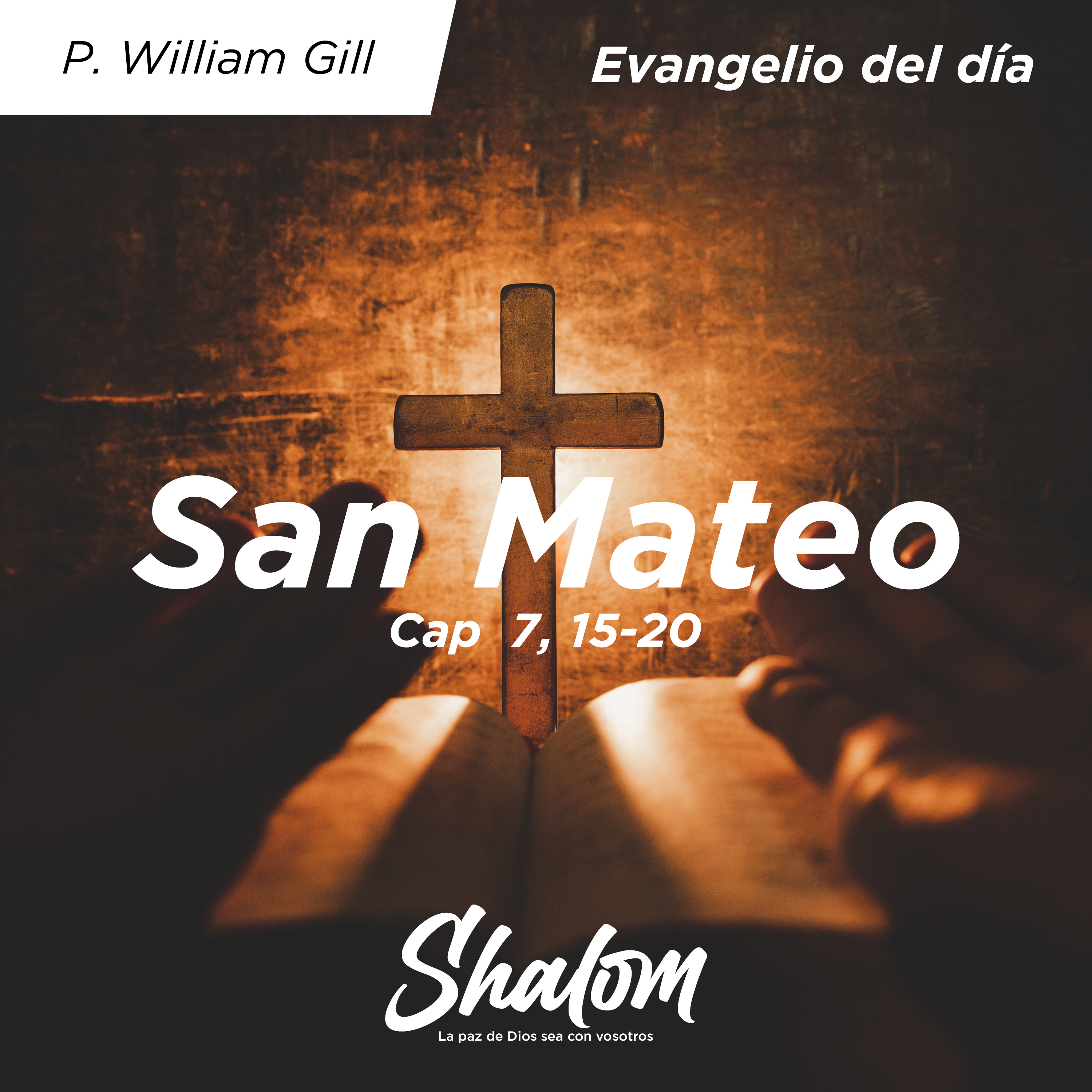 Shalom: Los Misterios de la Iglesia