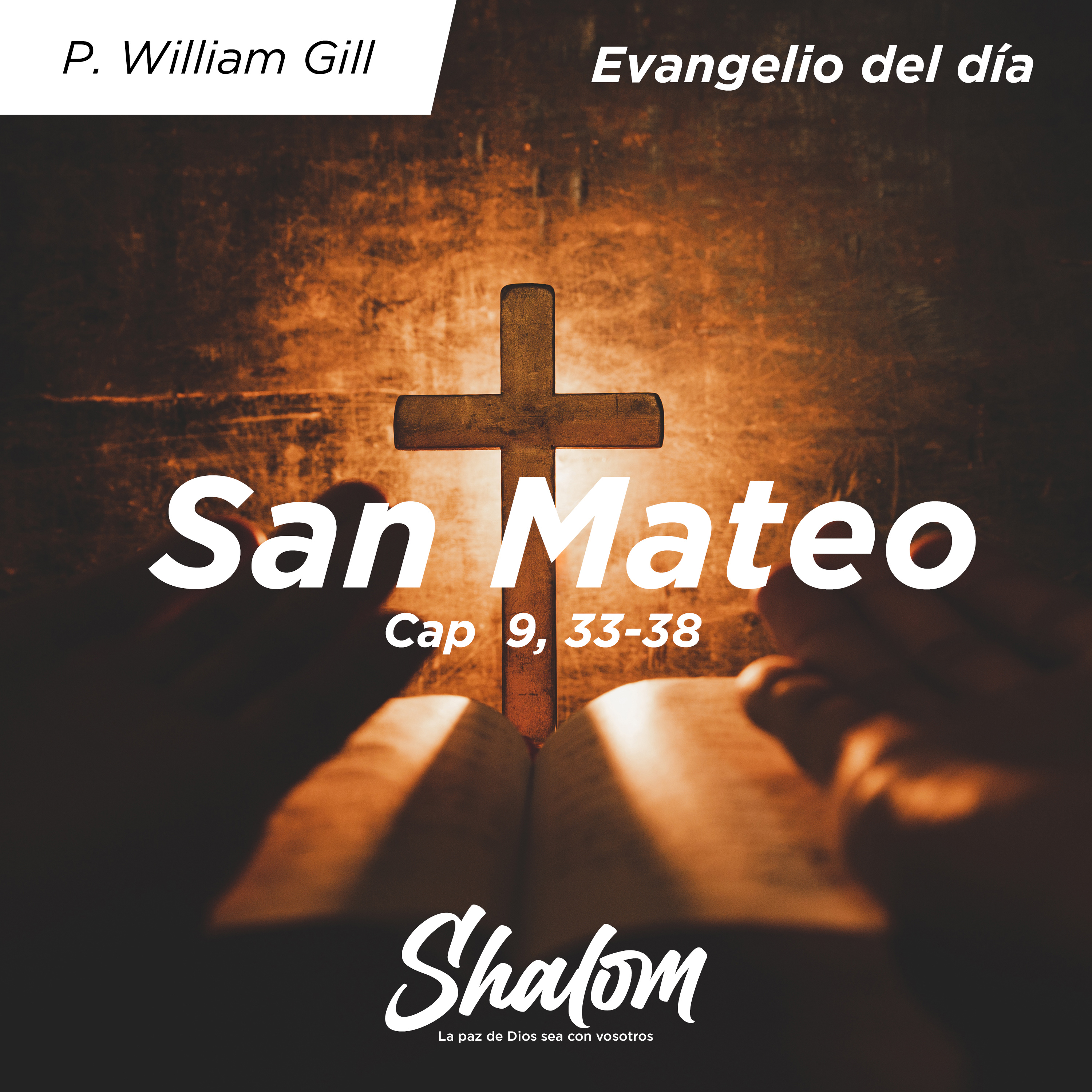 Shalom: Los Misterios de la Iglesia