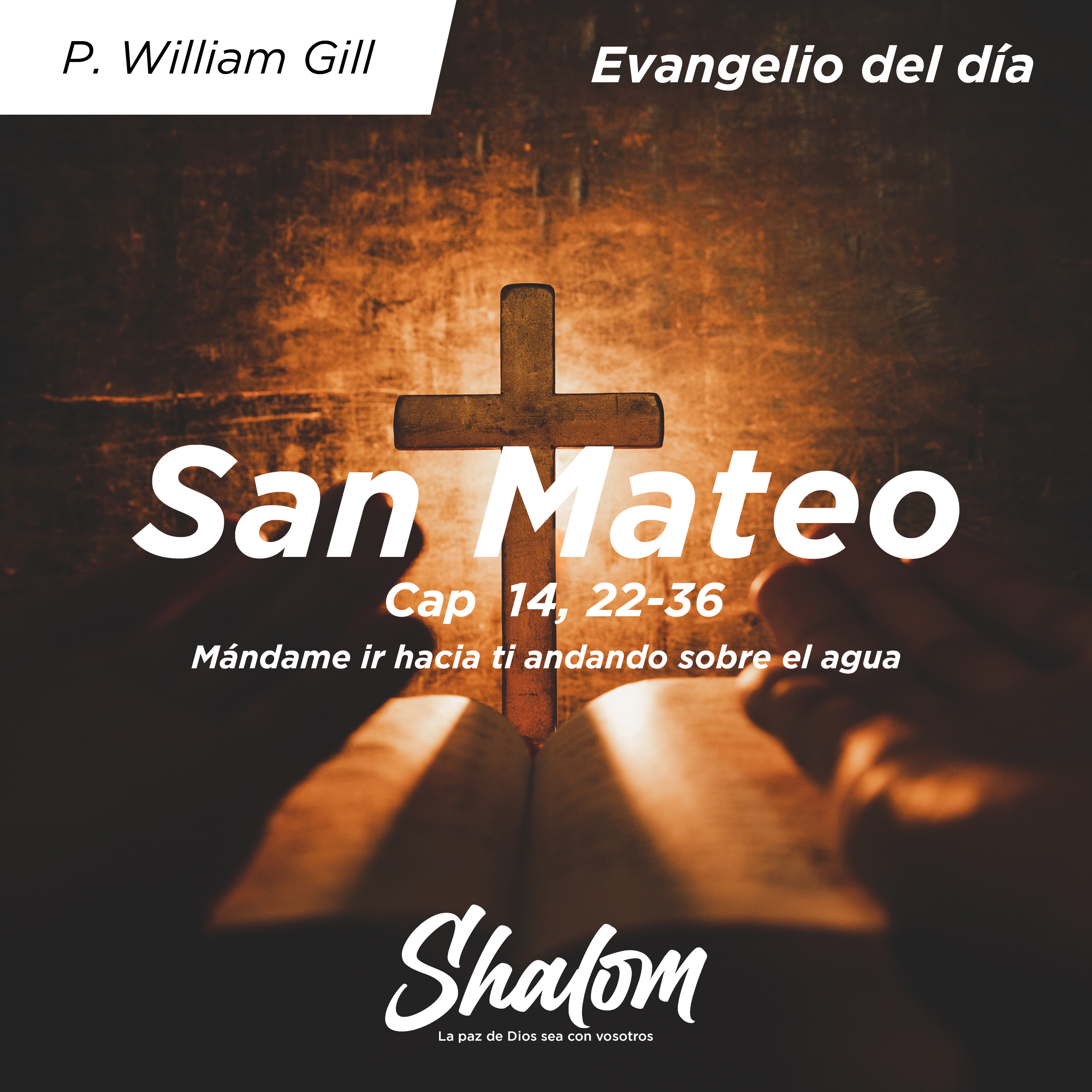 Shalom: Los Misterios de la Iglesia