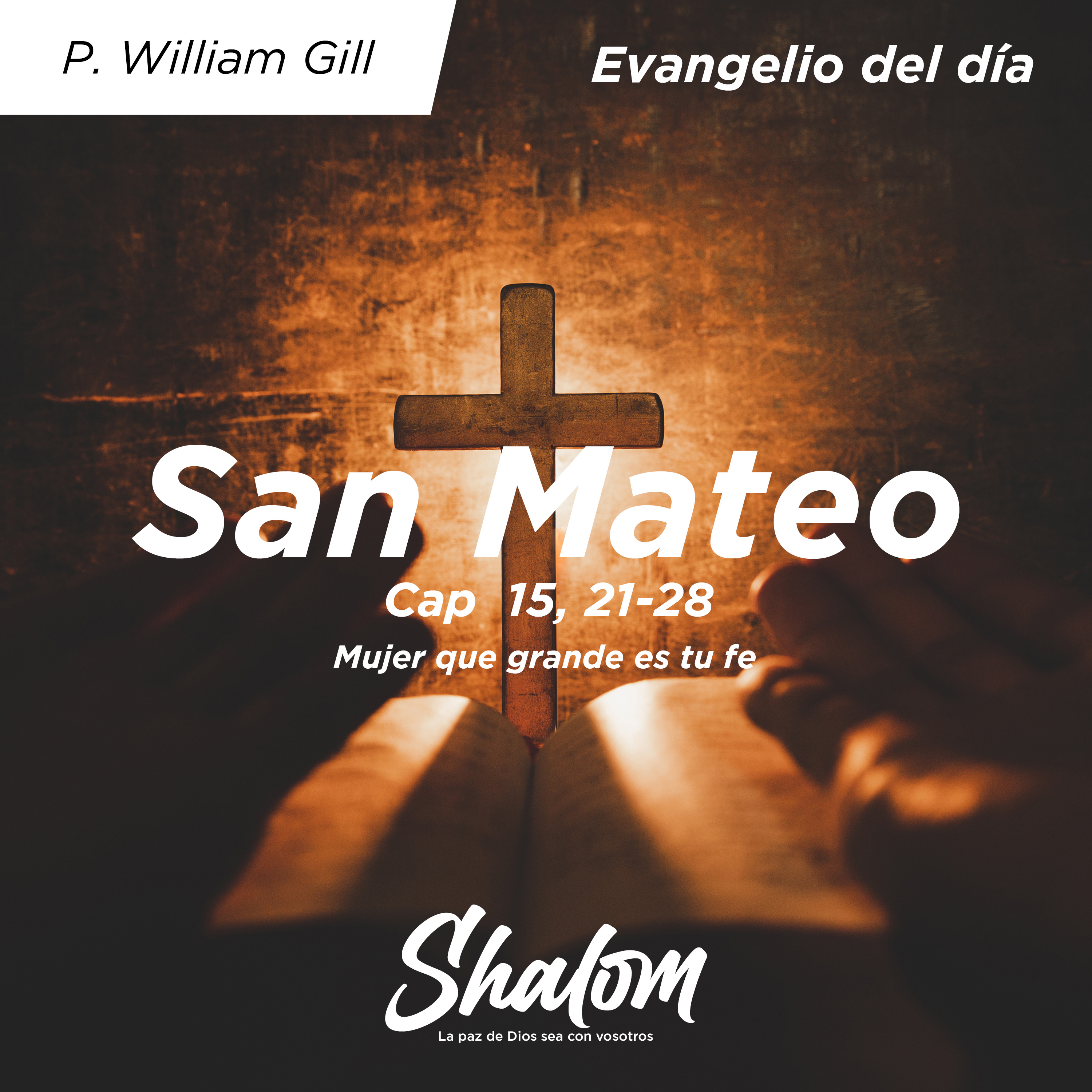 Shalom: Los Misterios de la Iglesia