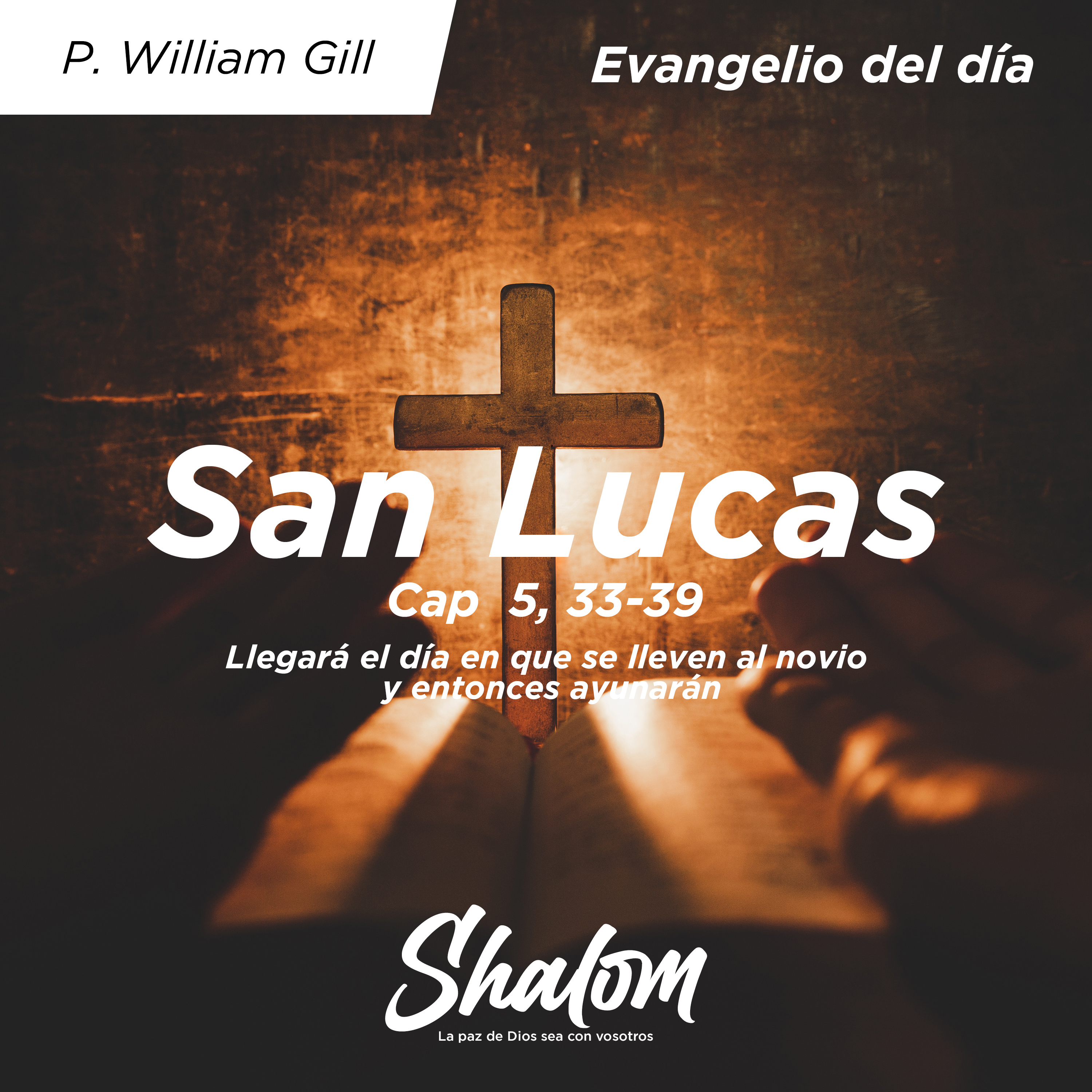 Shalom: Los Misterios de la Iglesia