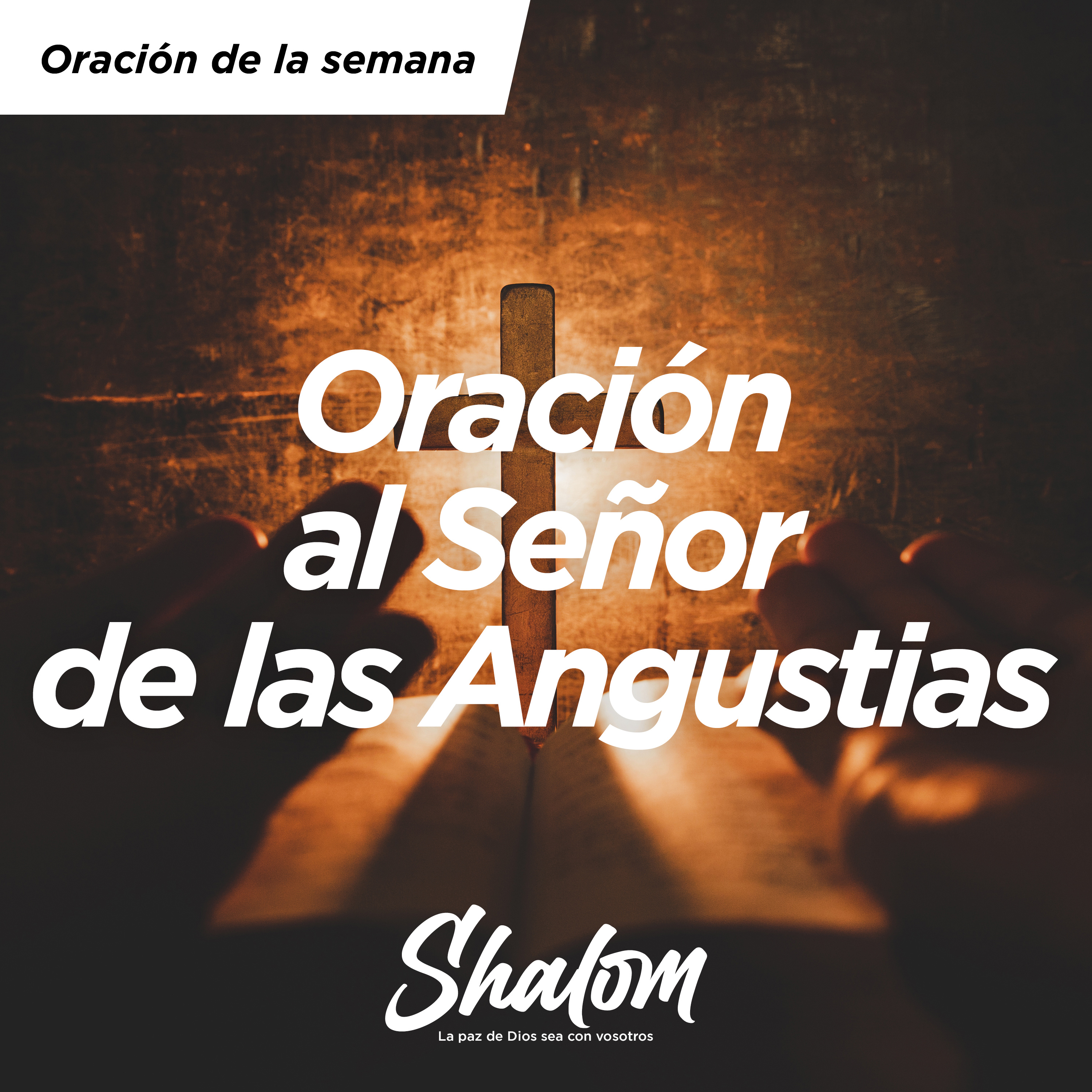 Shalom: Los Misterios de la Iglesia