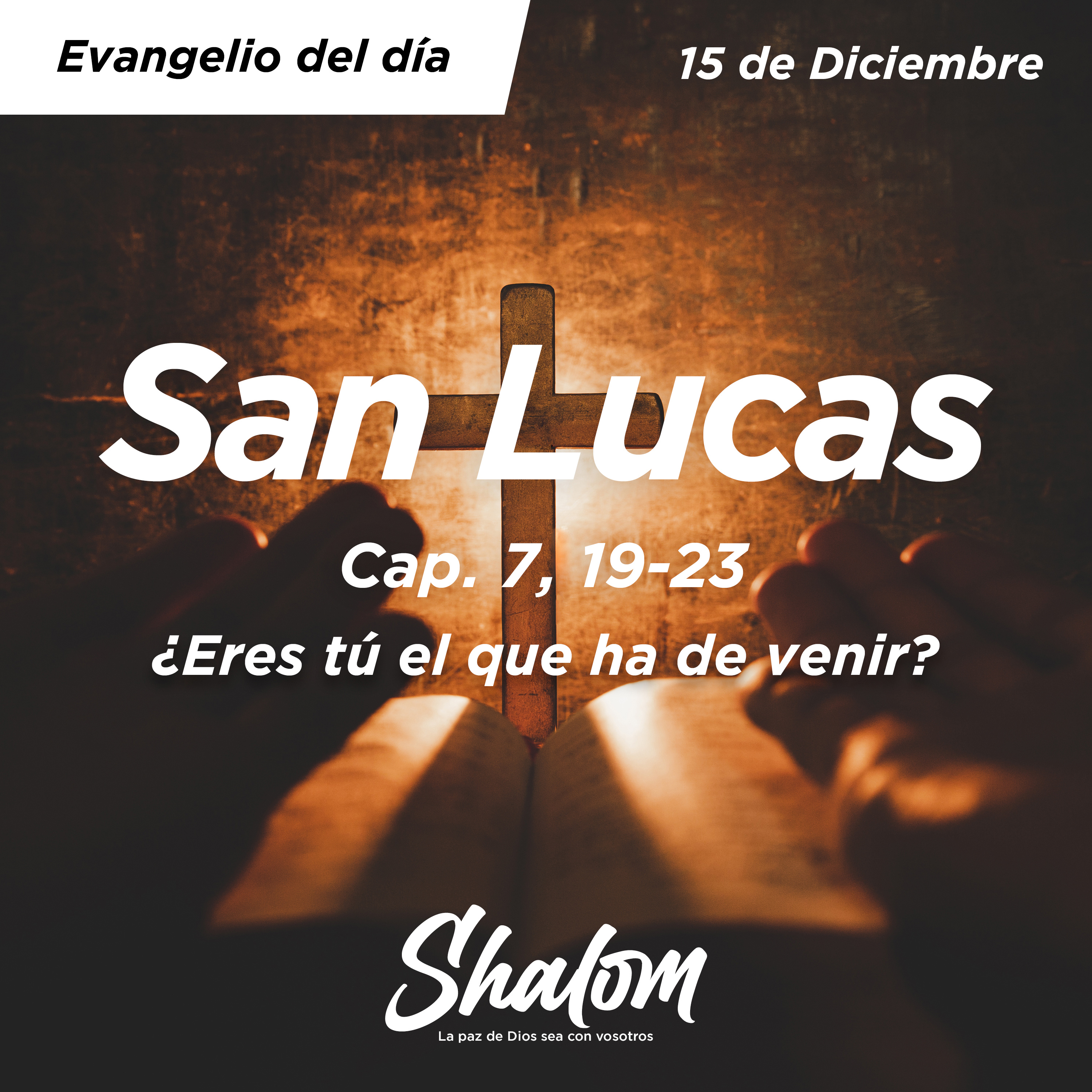 Shalom: Los Misterios de la Iglesia