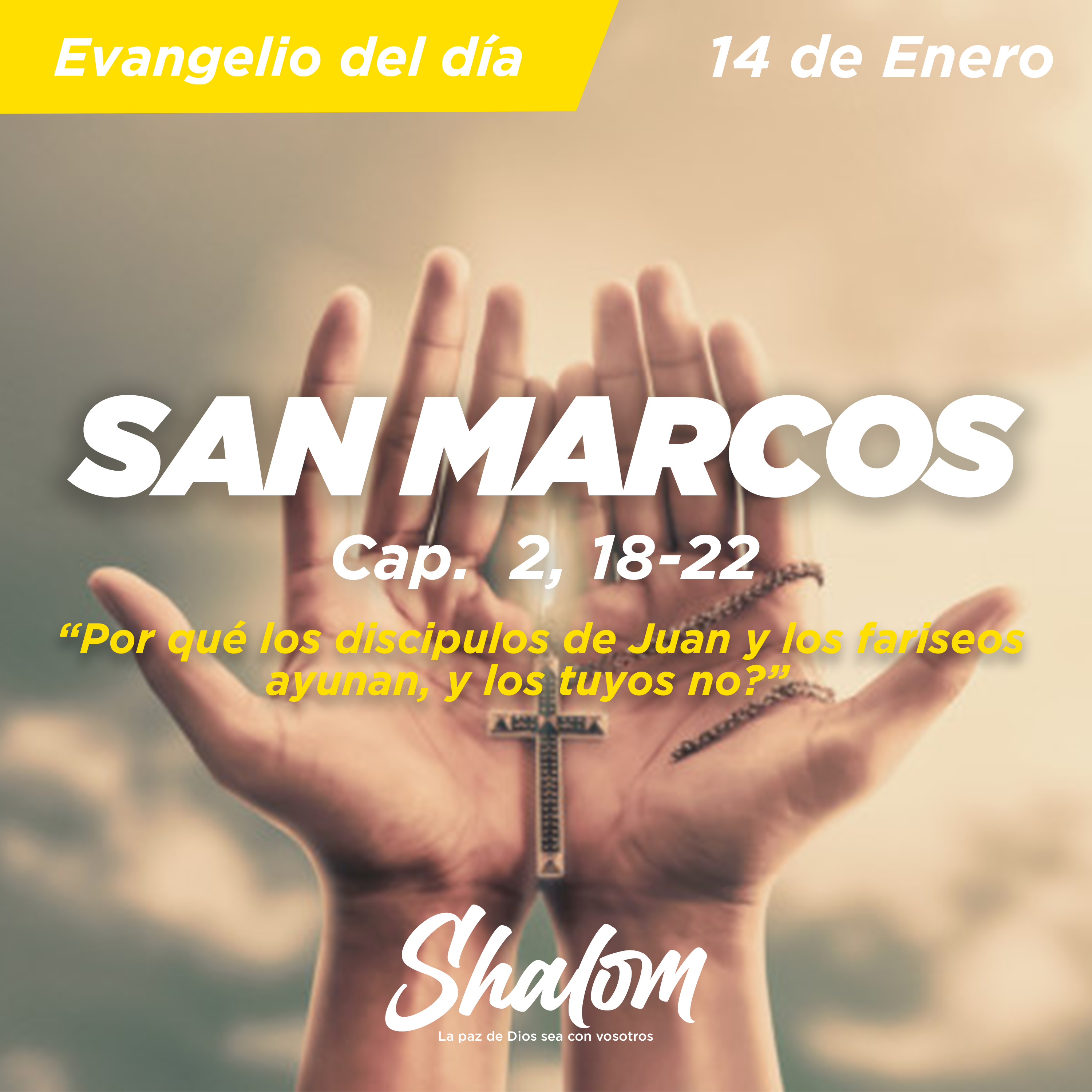 Shalom: Los Misterios de la Iglesia