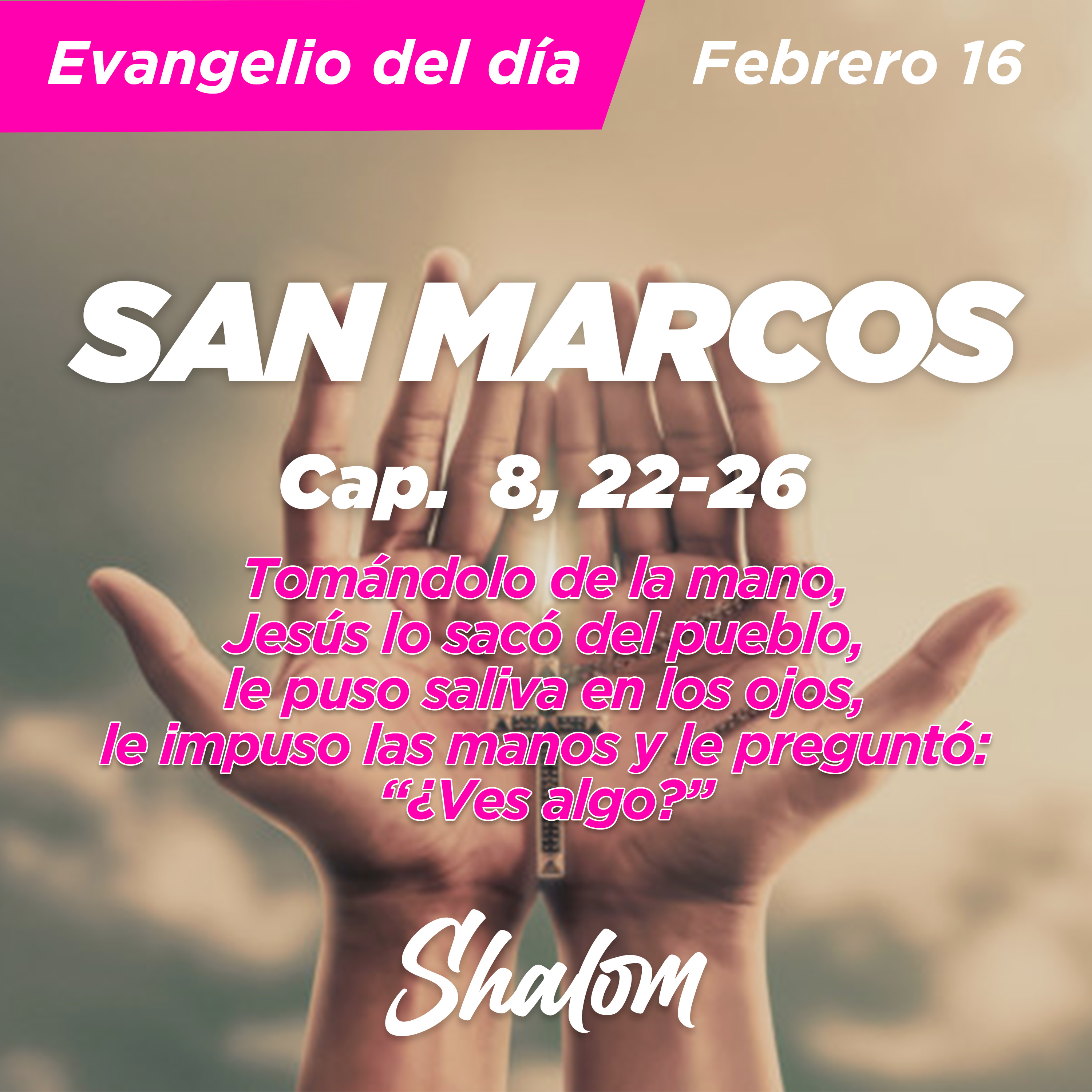Shalom: Los Misterios de la Iglesia