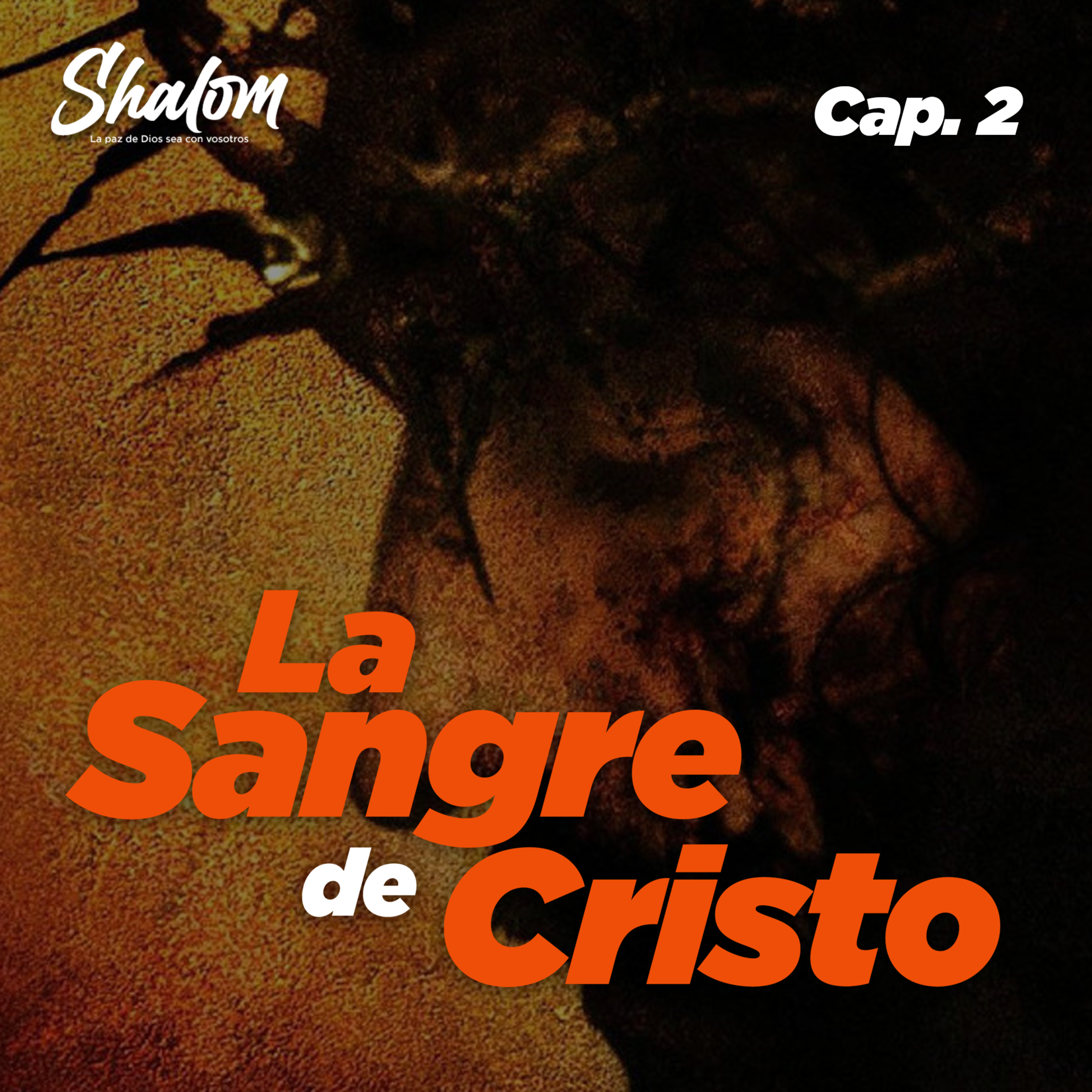 Shalom: Los Misterios de la Iglesia