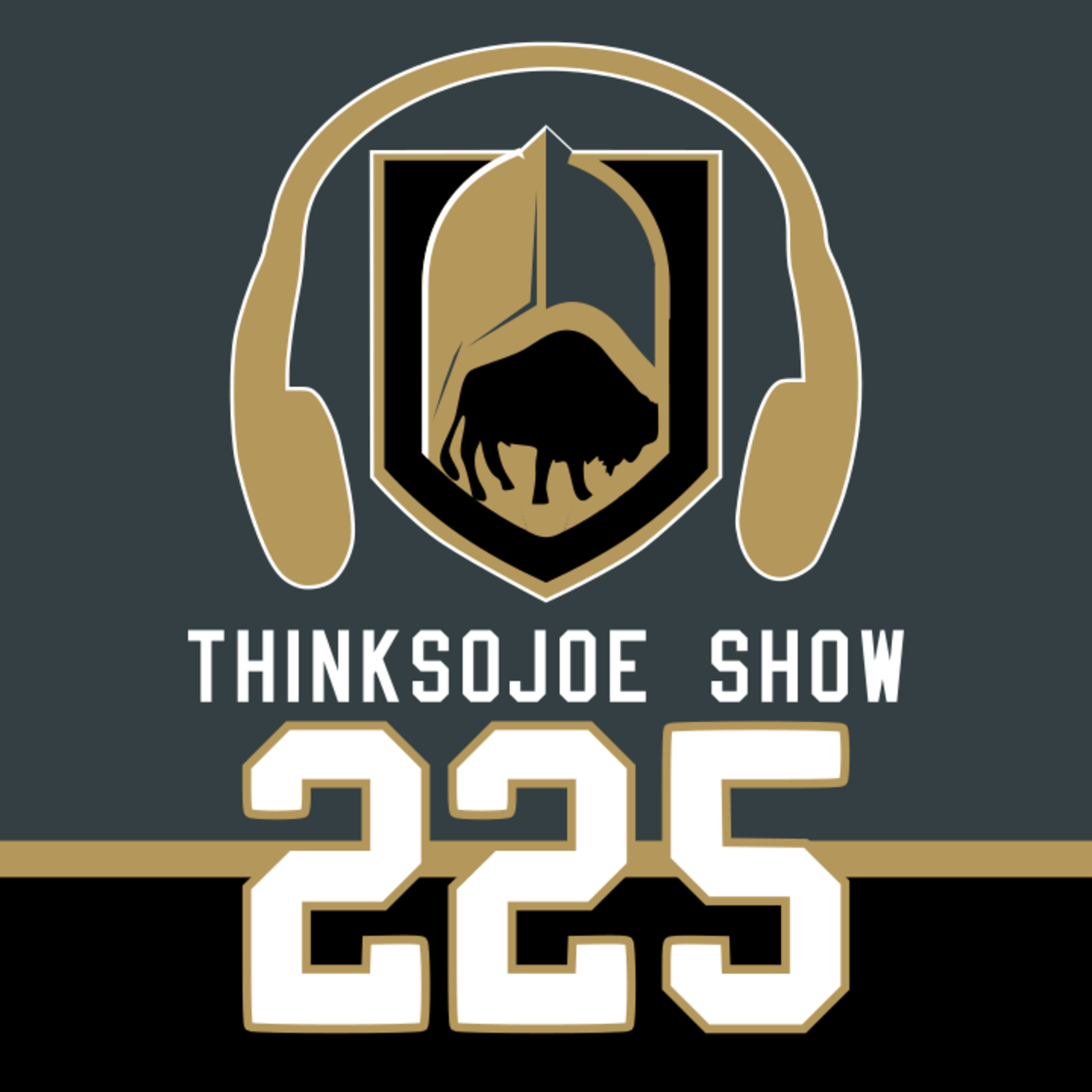 ThinkSoJoE Show