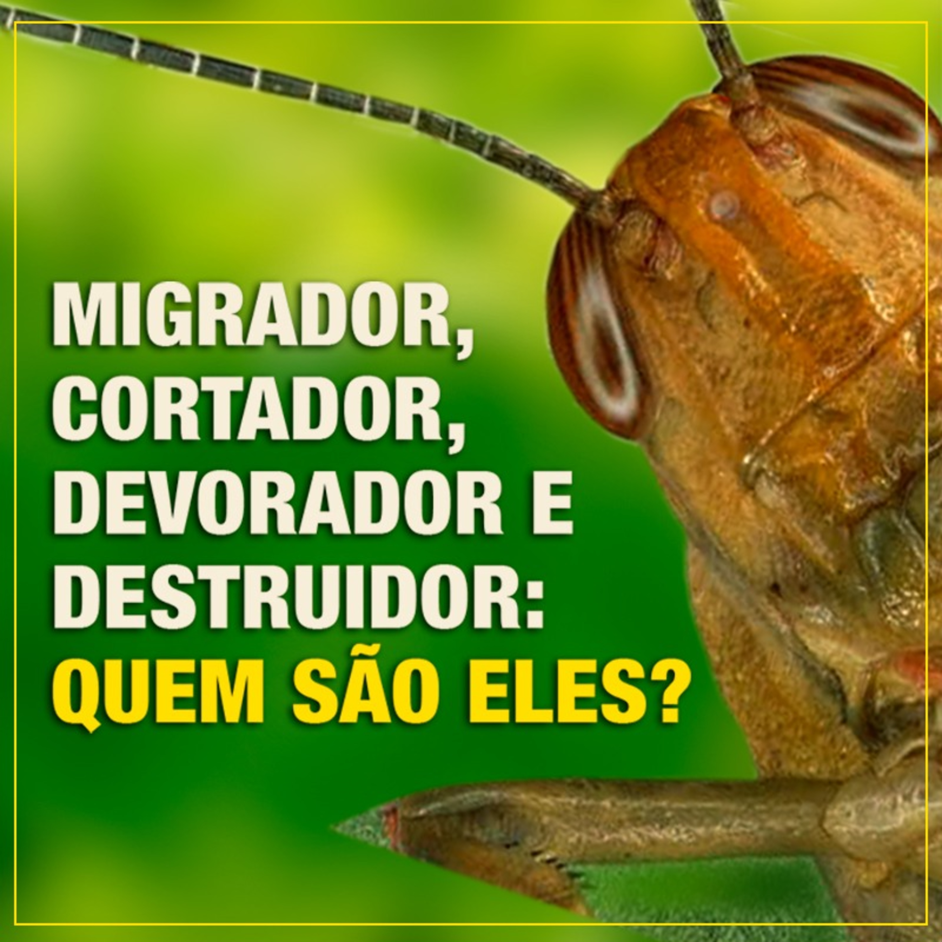 Migrador, Cortador, Devorador e Destruidor: Quem são eles? (Mc 10 46)