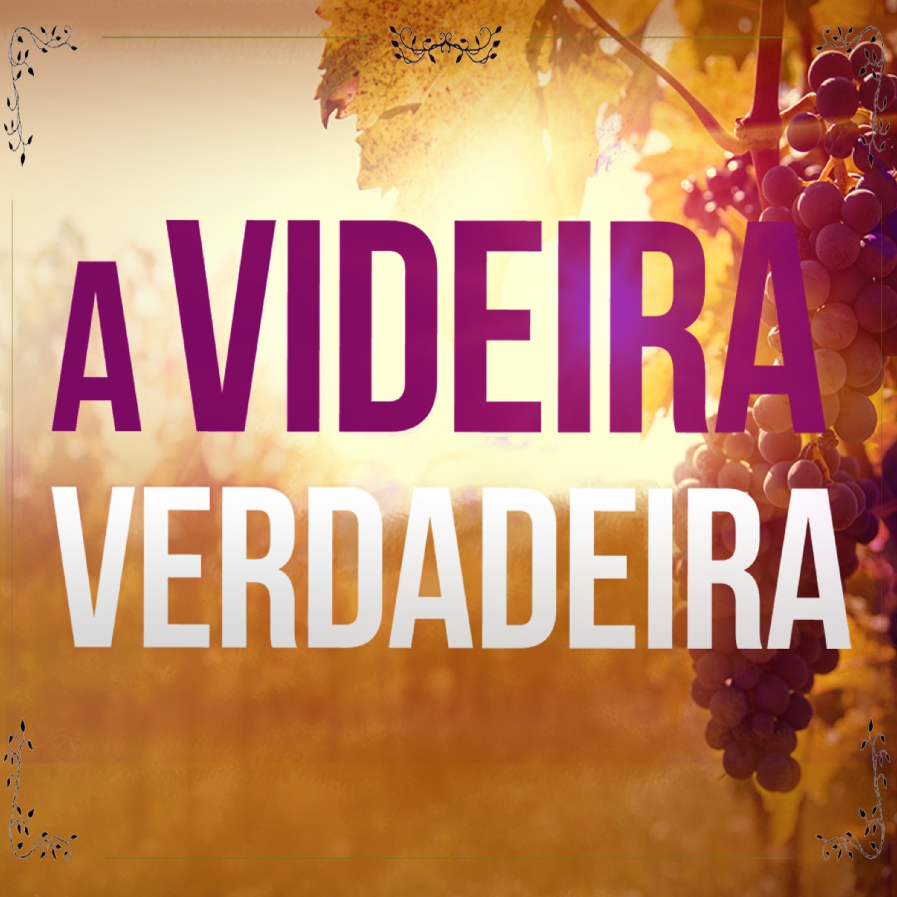 A Videira Verdadeira, as Varas e os Frutos (Jo 15 01)