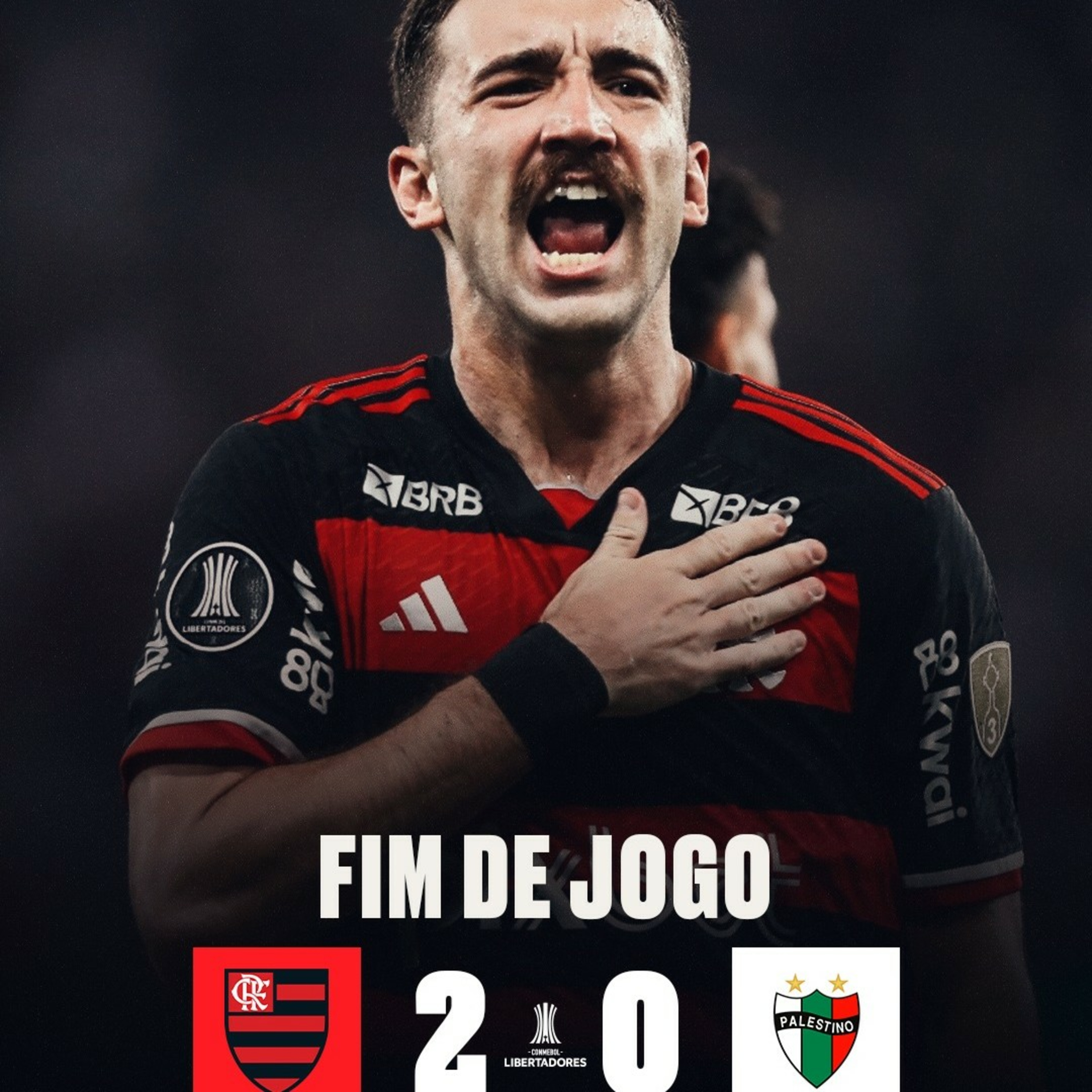 Impressões de Flamengo e Palestinos  episode artwork