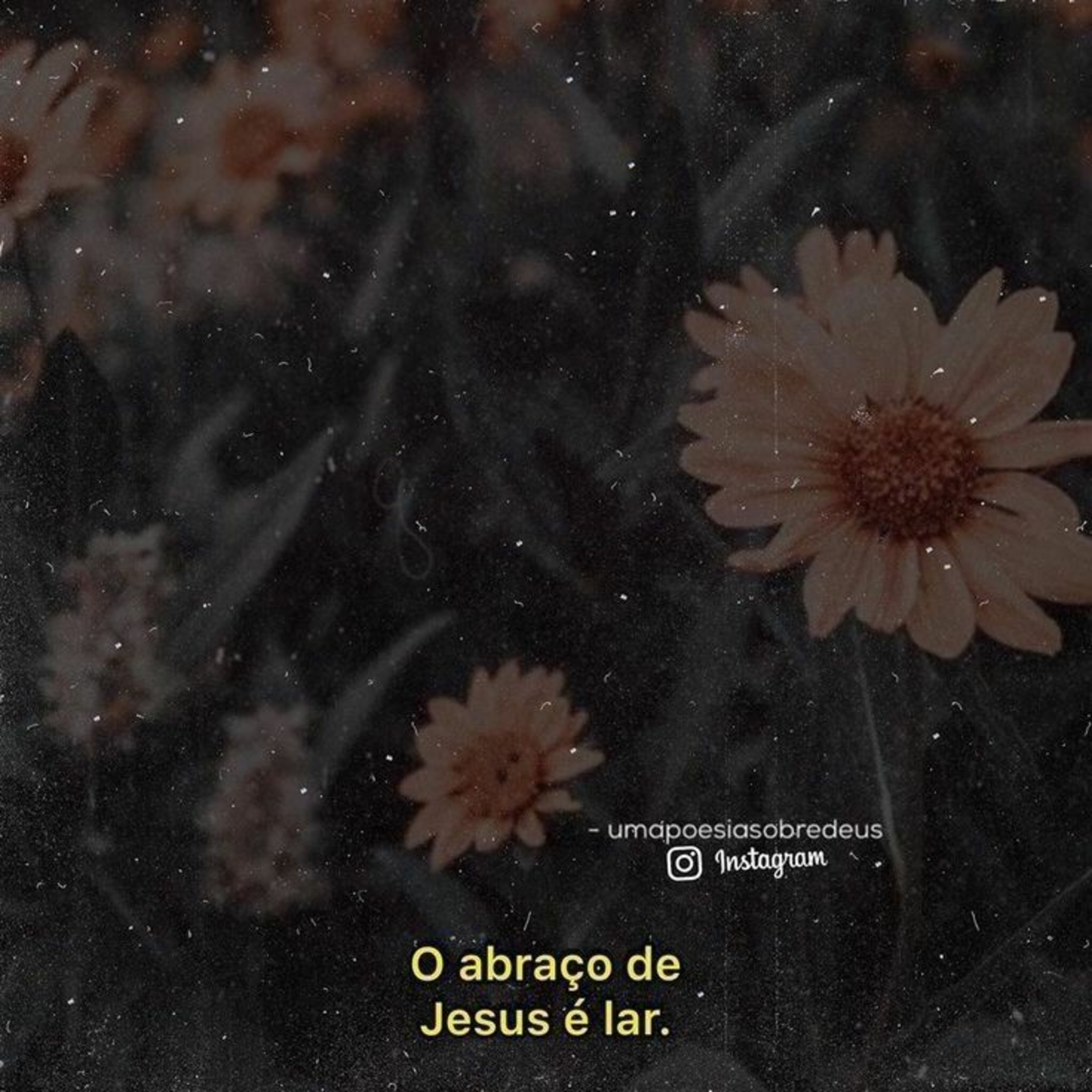 Jesus Vivo Estás