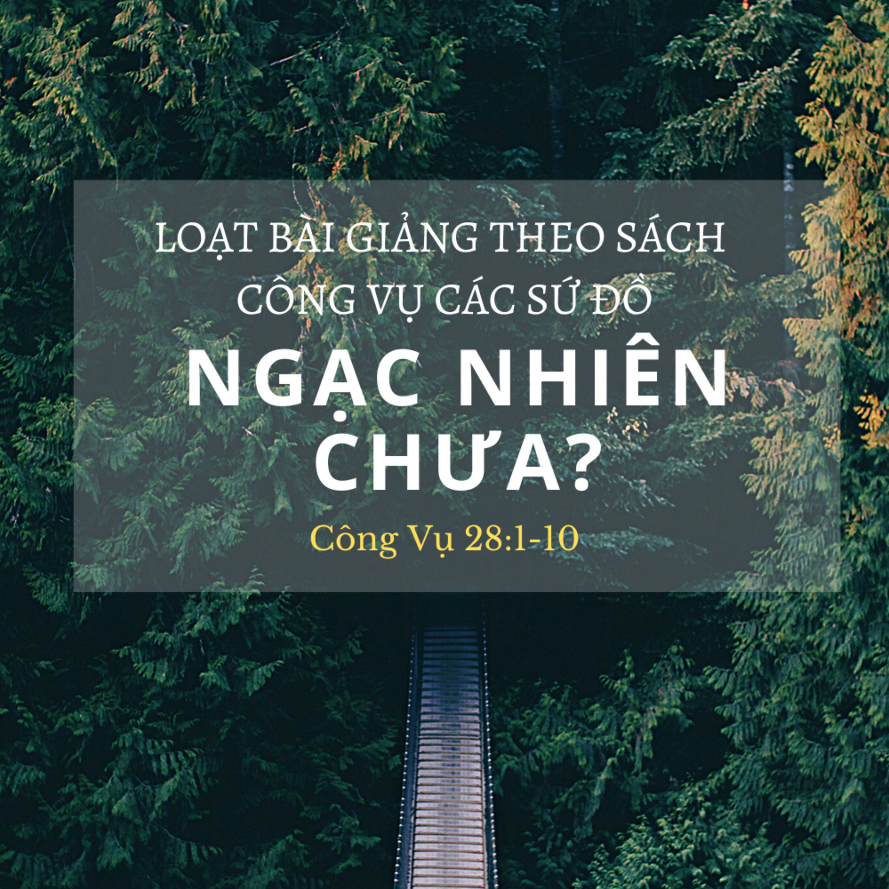Công Vụ 28:1-10 | NGẠC NHIÊN CHƯA || Mục Sư Bùi Văn Ba episode artwork