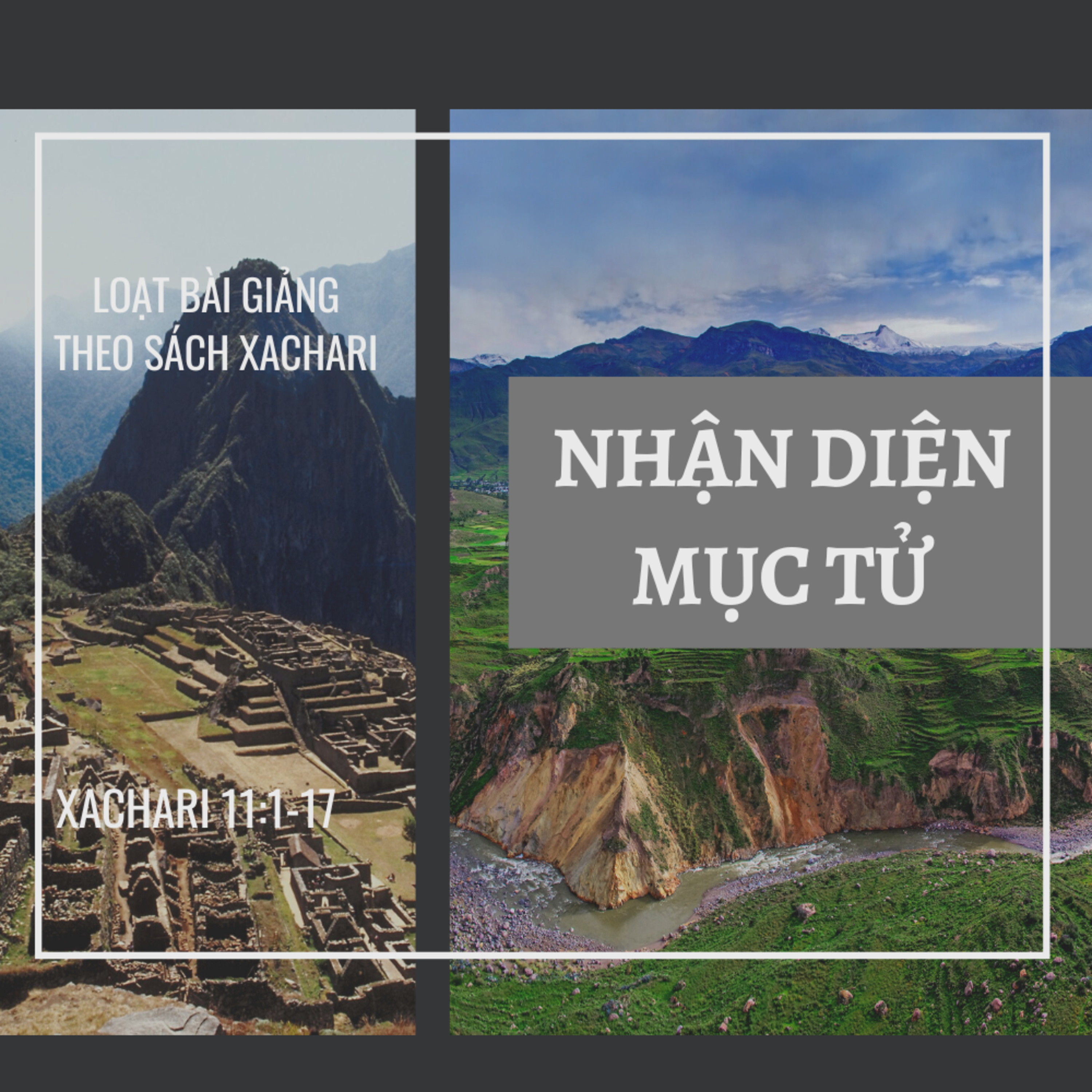 Xachari 11:1-17 | NHẬN DIỆN MỤC TỬ | LOẠT BÀI THEO SÁCH XACHARI || Ms Bùi Văn Ba episode artwork