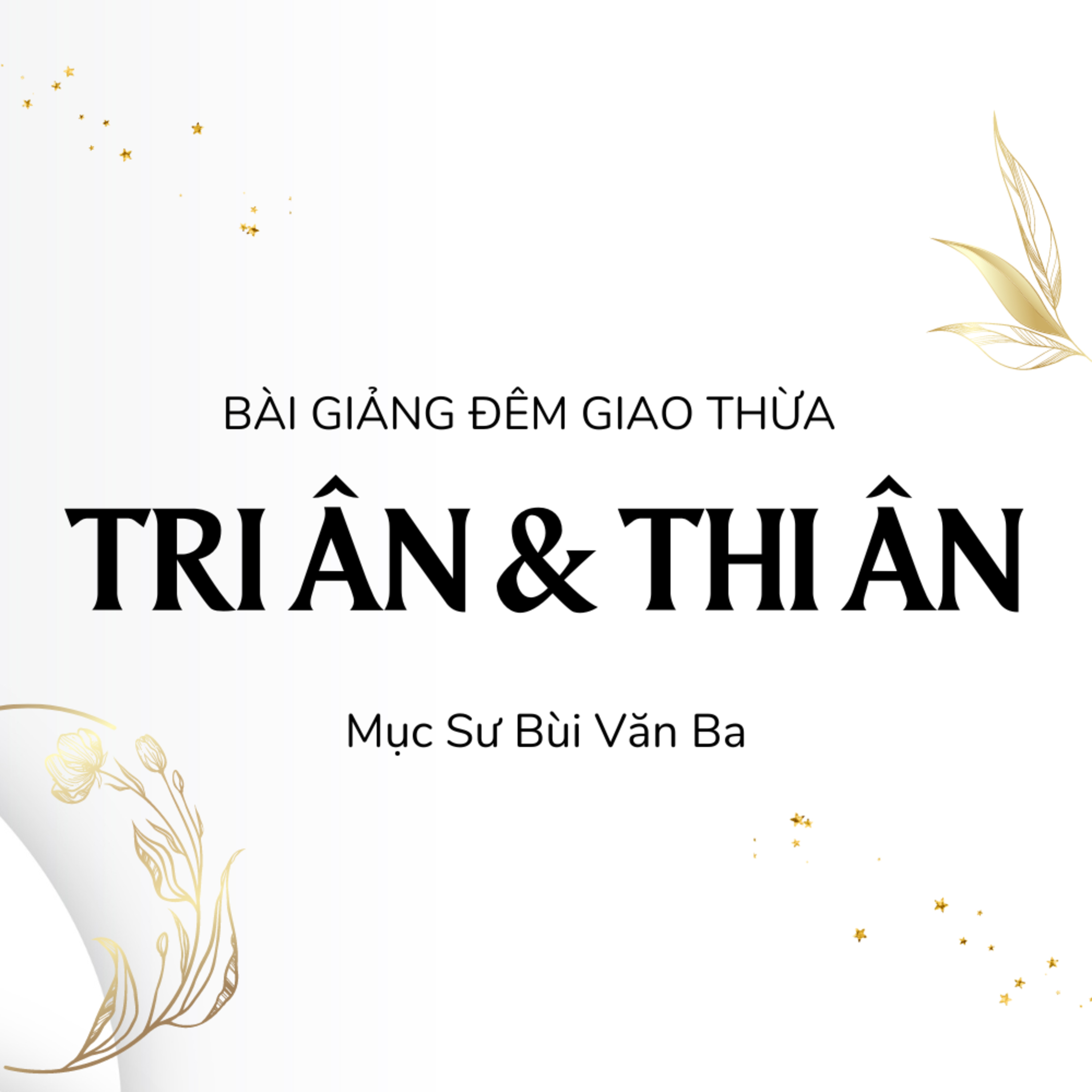 TRI ÂN & THI ÂN | BÀI GIẢNG ĐÊM GIAO THỪA || MỤC SƯ BÙI VĂN BA episode artwork