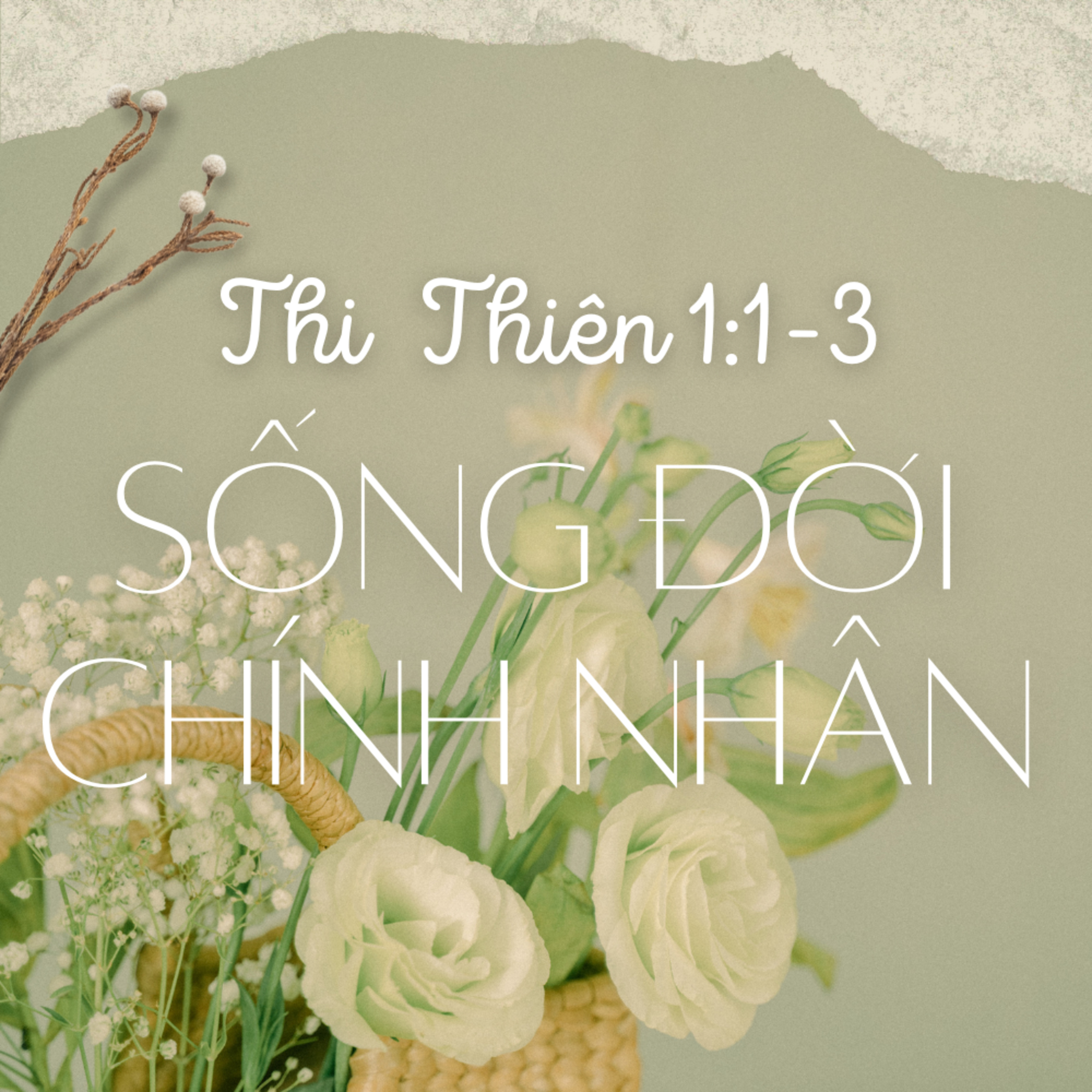 Thi Thiên 1:1-3 | SỐNG ĐỜI CHÍNH NHÂN || Mục Sư Bùi Văn Ba episode artwork
