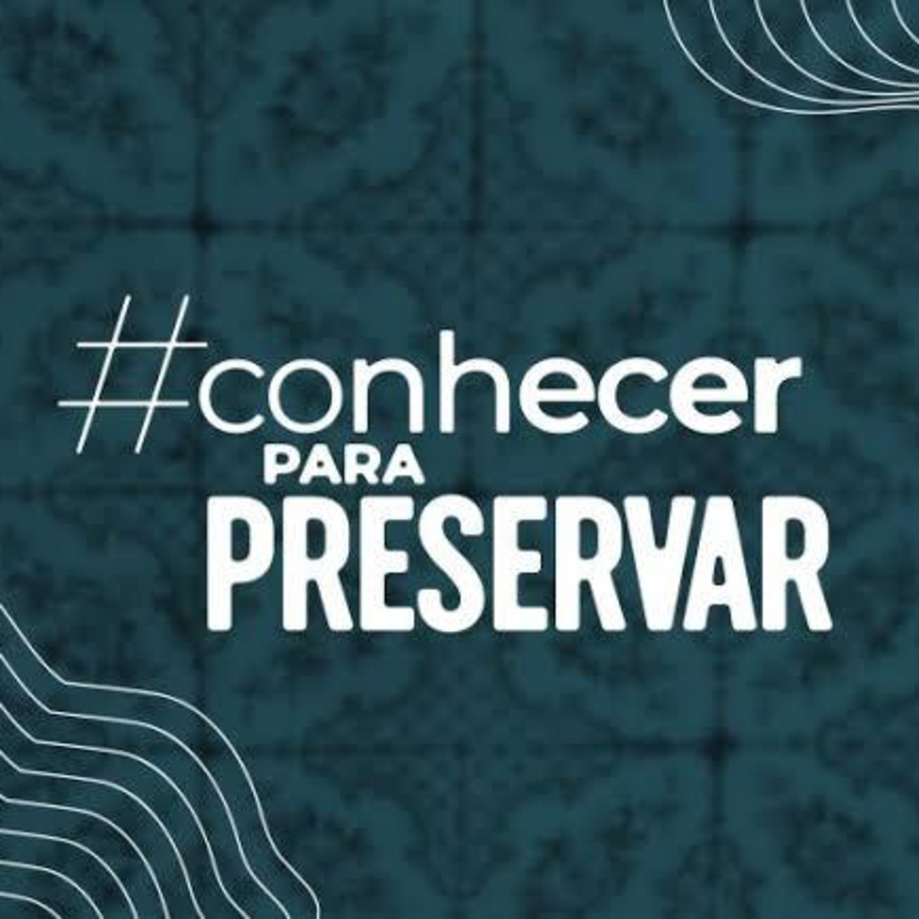 Eletivas- Conhecer para preservar 🎓📓