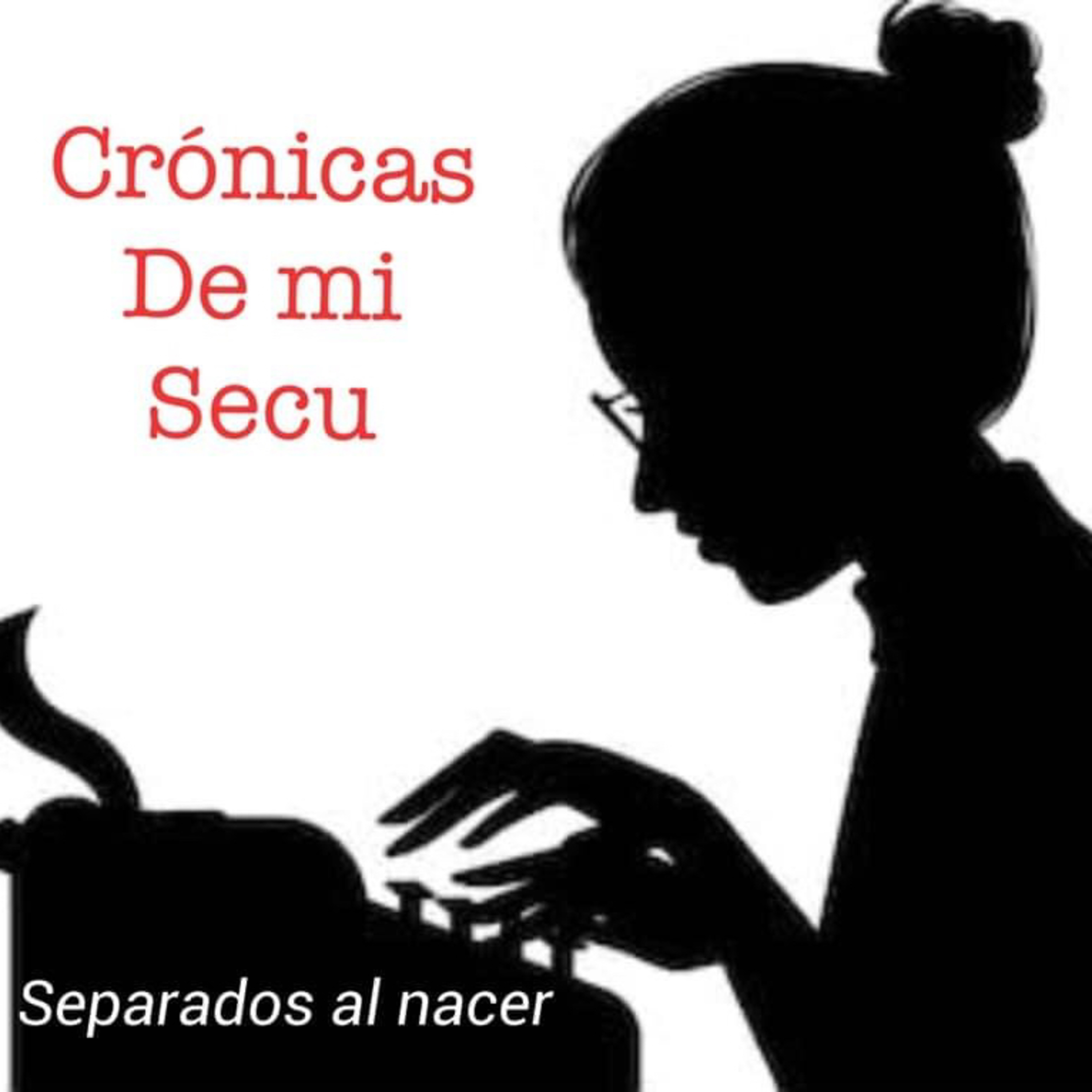 Arita de Cebolla