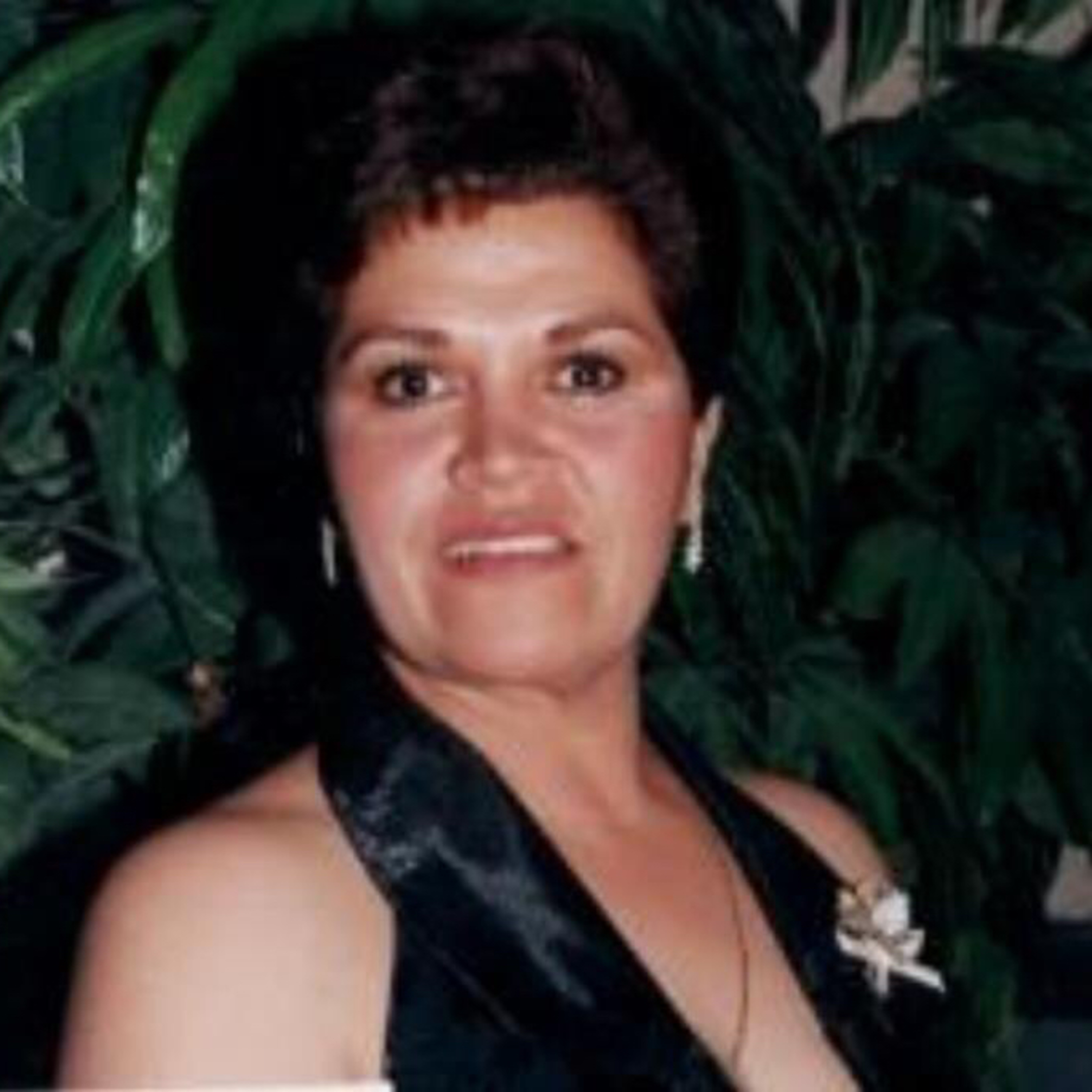 Arita de Cebolla