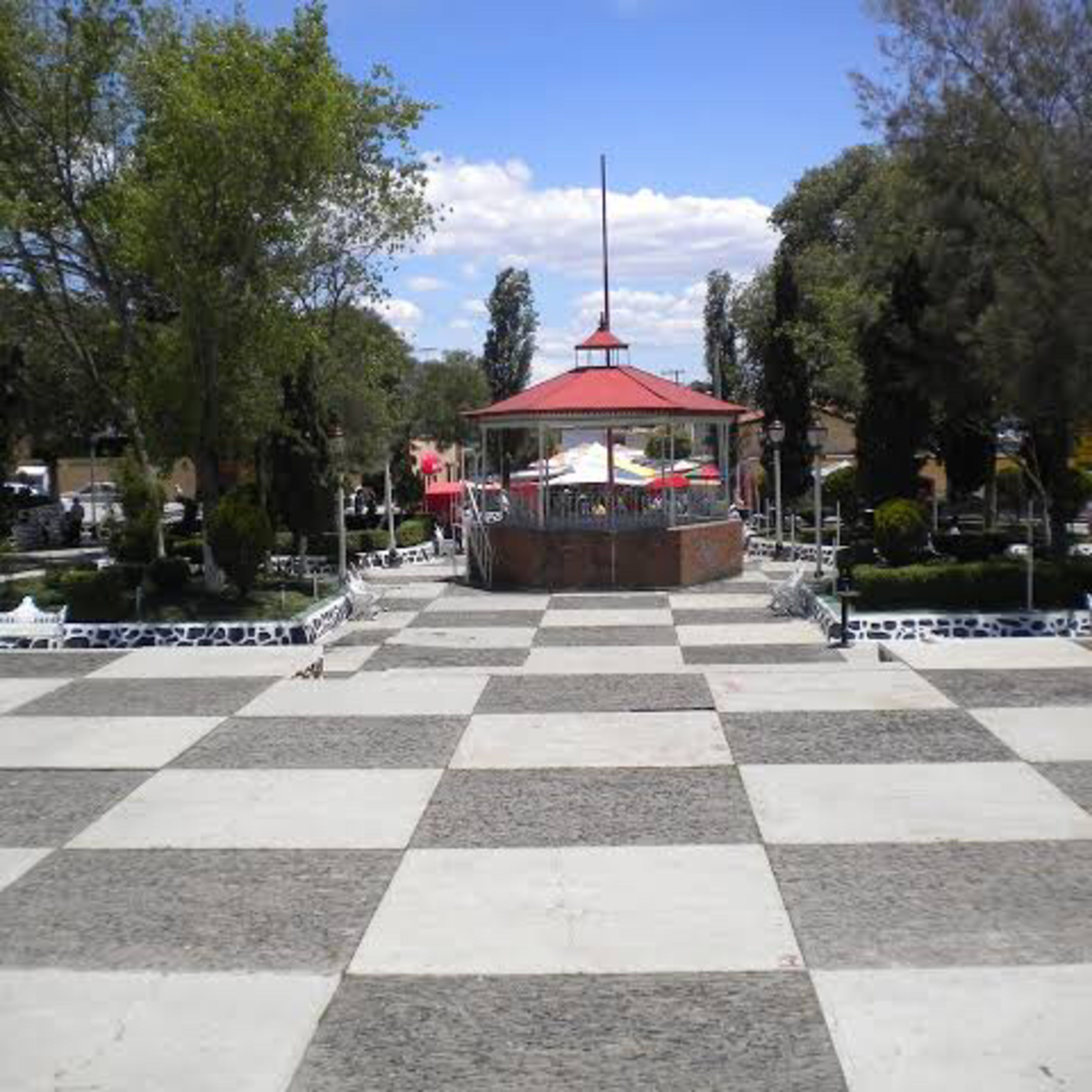 Arita de Cebolla