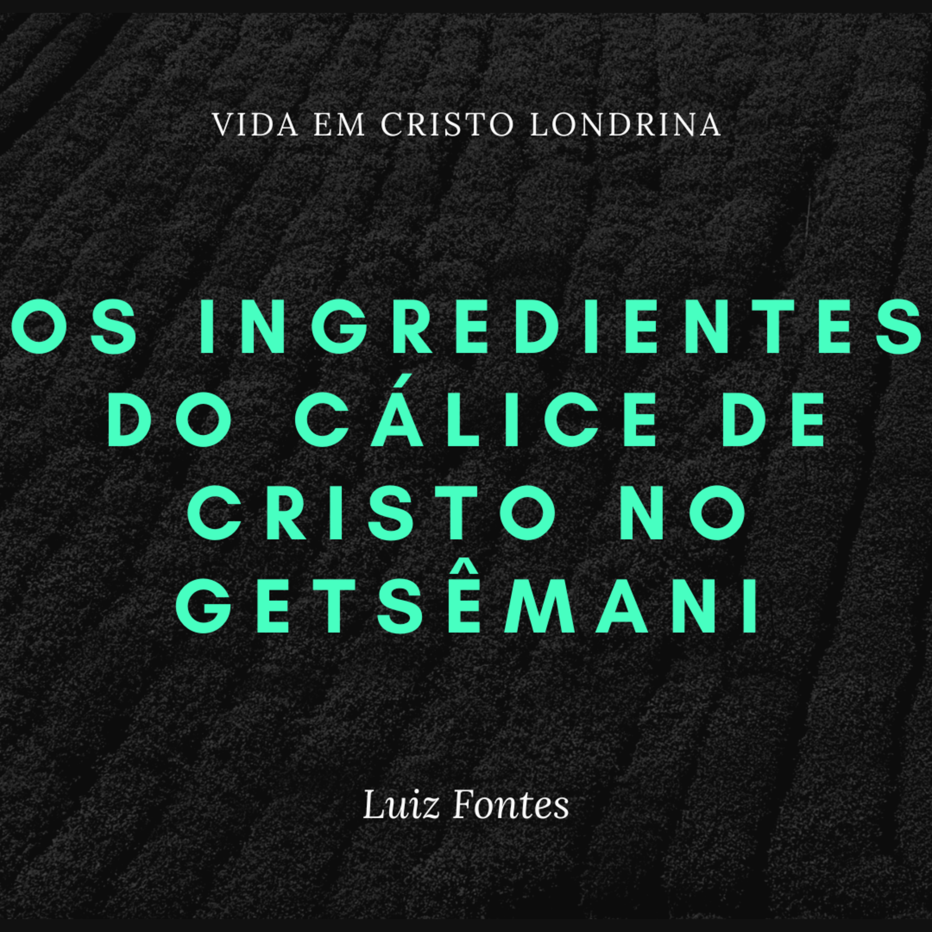 Vida em Cristo Londrina