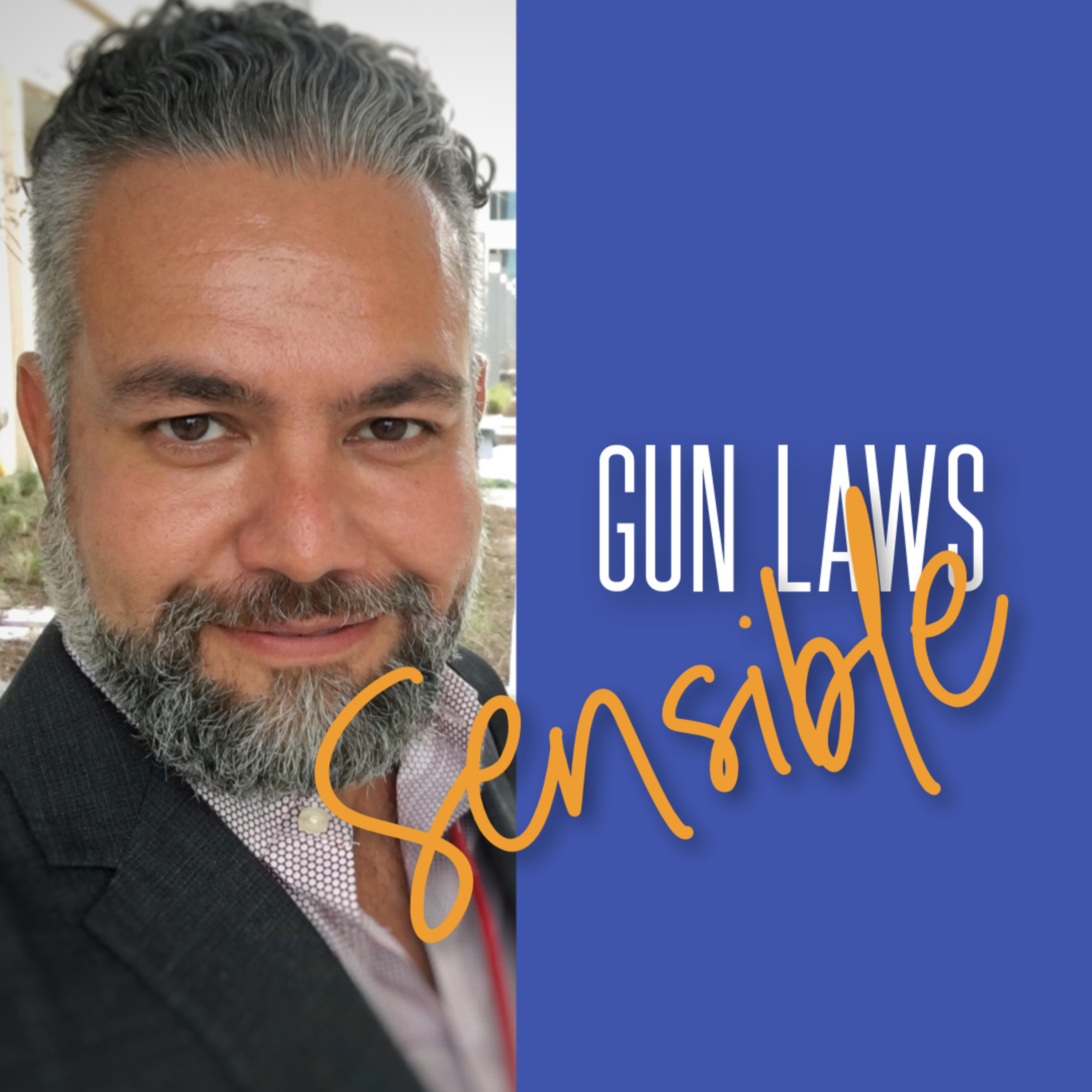 009 School Shooting and Sensible Gun Laws