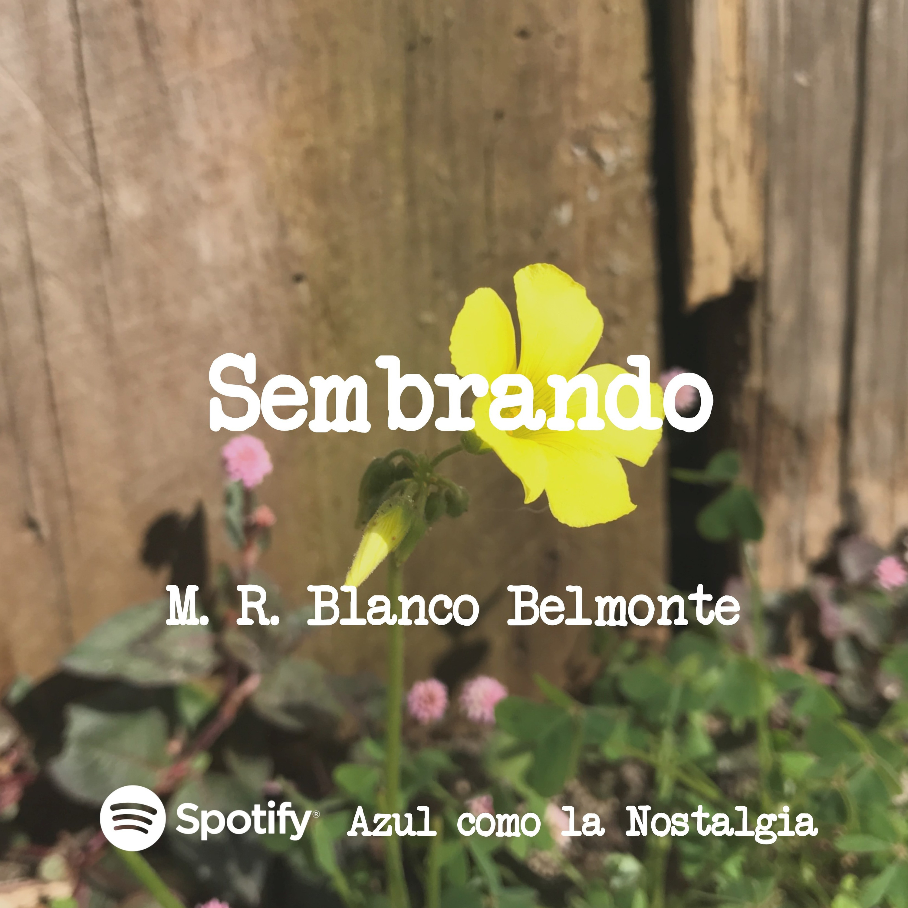 Sembrando - M.R. Blanco Belmonte - lecturas poesía episode artwork