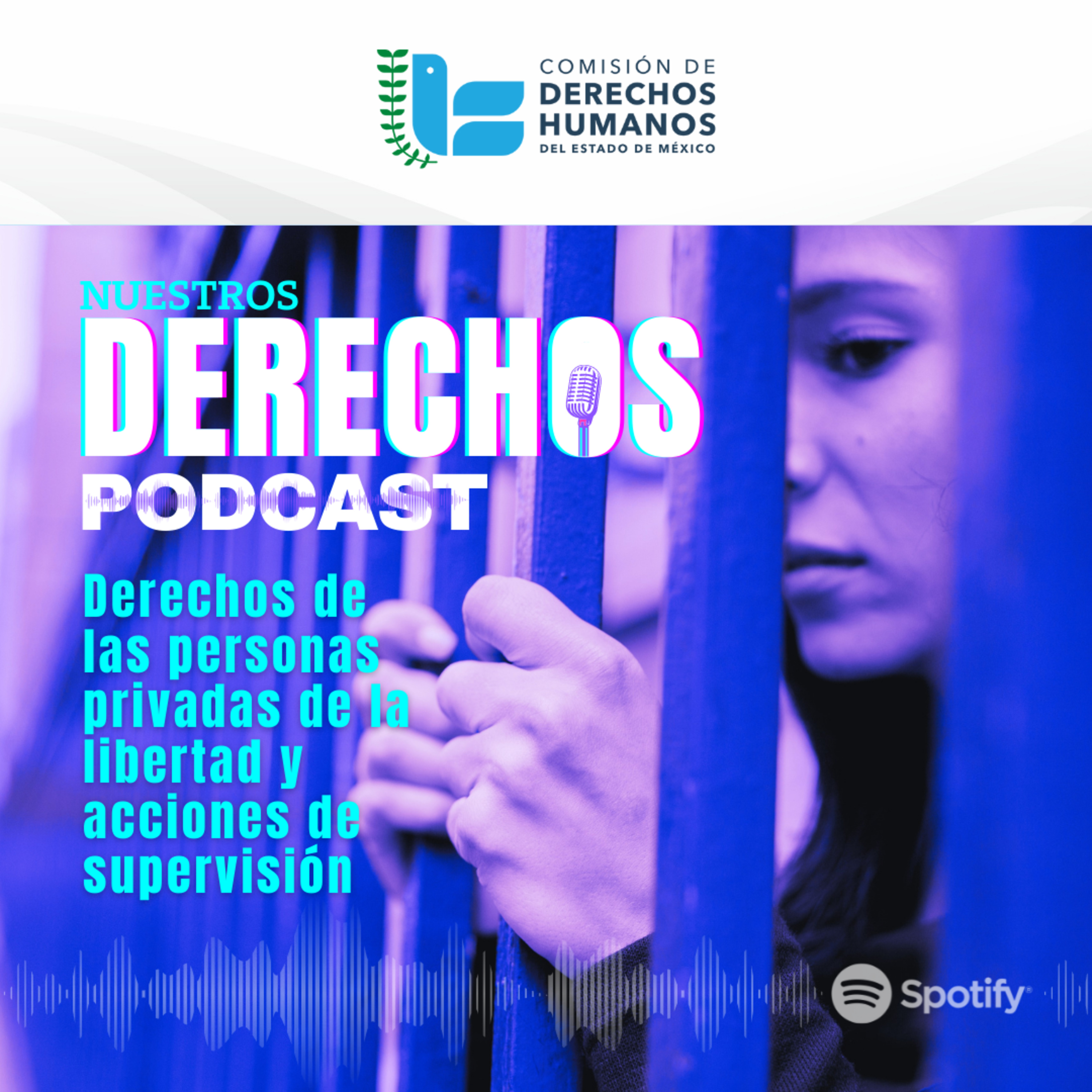 Derechos de las Personas Privadas de la Libertad y Acciones de supervisión episode artwork