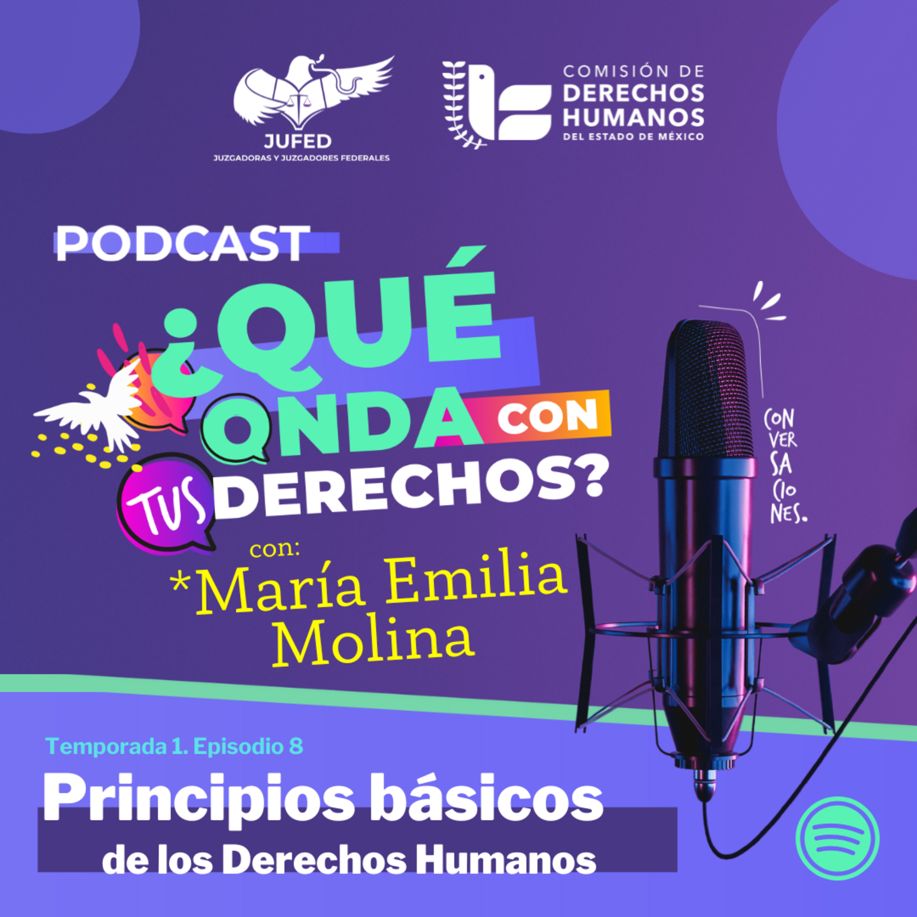 Principios básicos que rigen a los derechos humanos- JUFED episode artwork