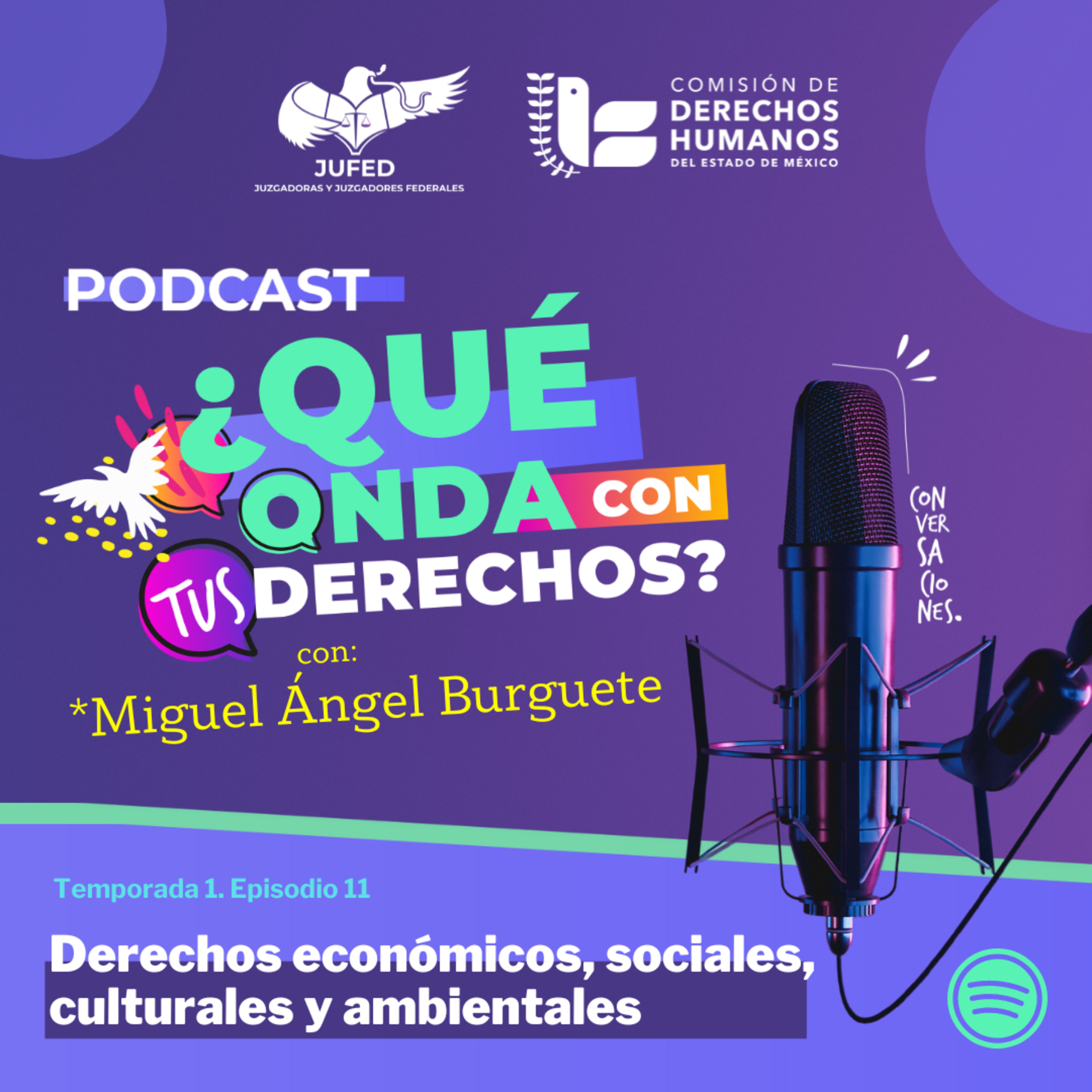 DESCA: Derechos económicos, sociales, culturales y ambientales. ¿Son normas programáticas?, ¿son verdaderamente derechos humanos? y su justiciabilidad.- JUFED episode artwork