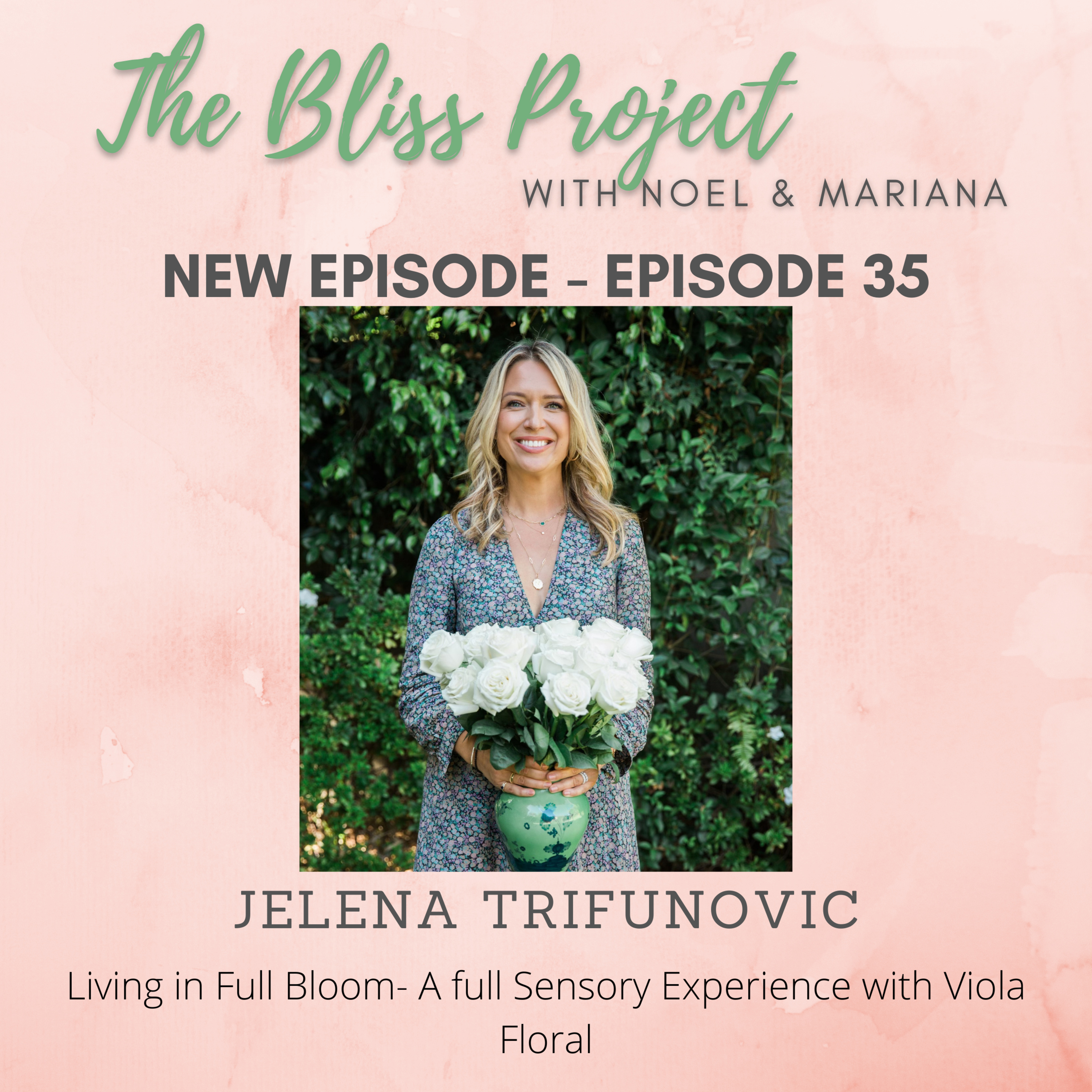 The Bliss Project