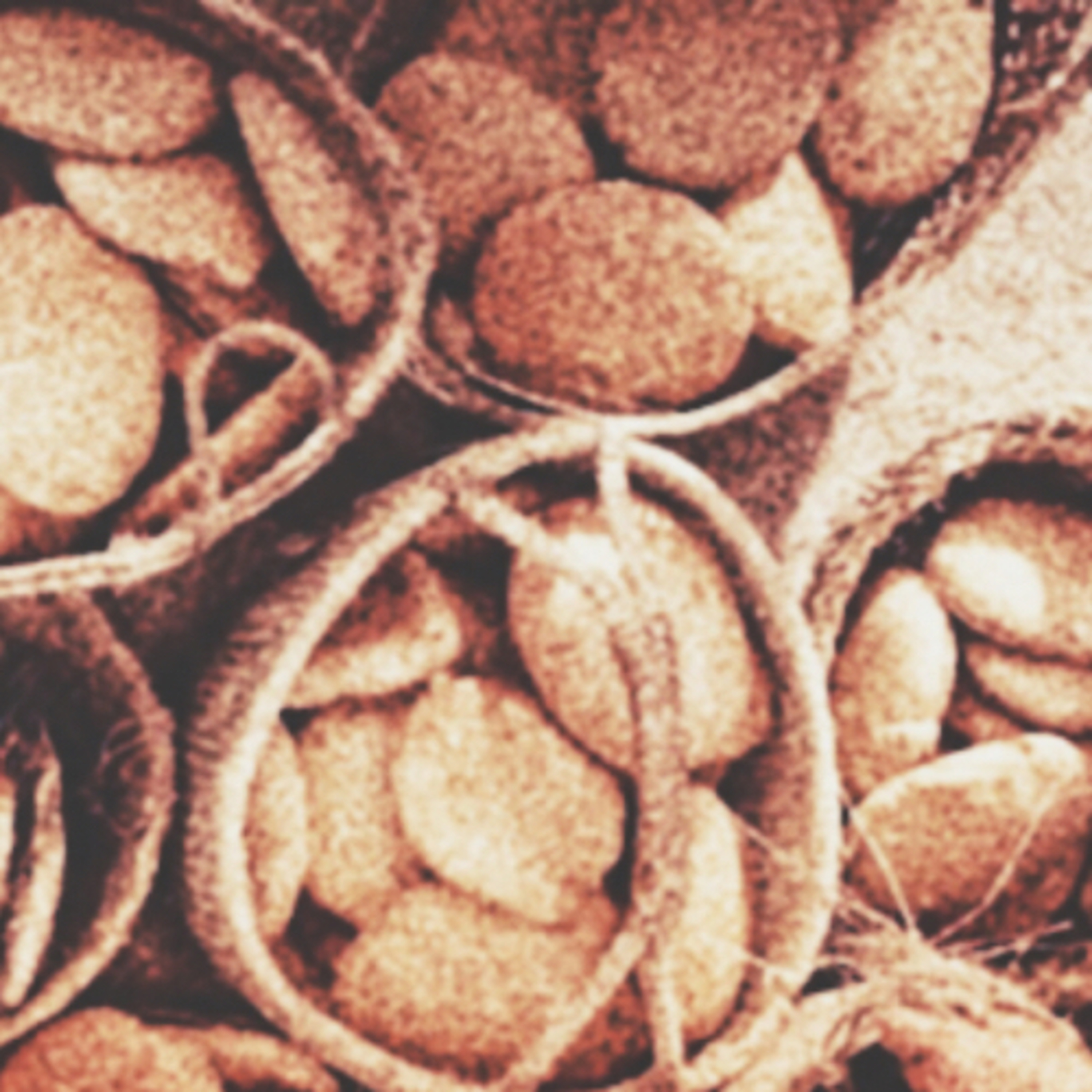 Basket Full of Bread