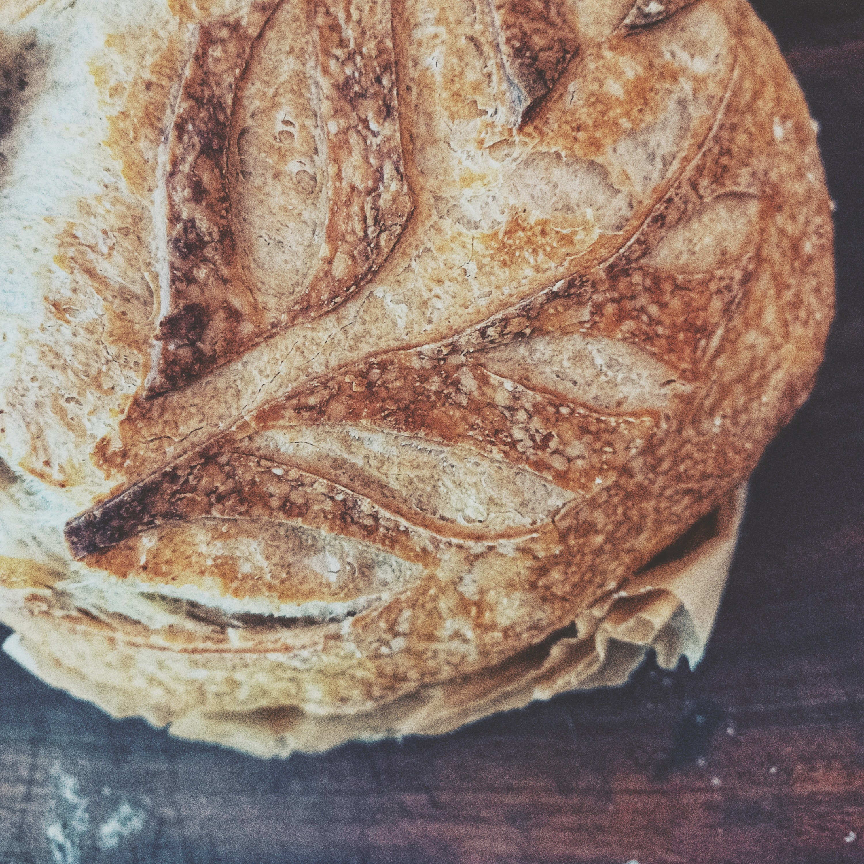 Basket Full of Bread