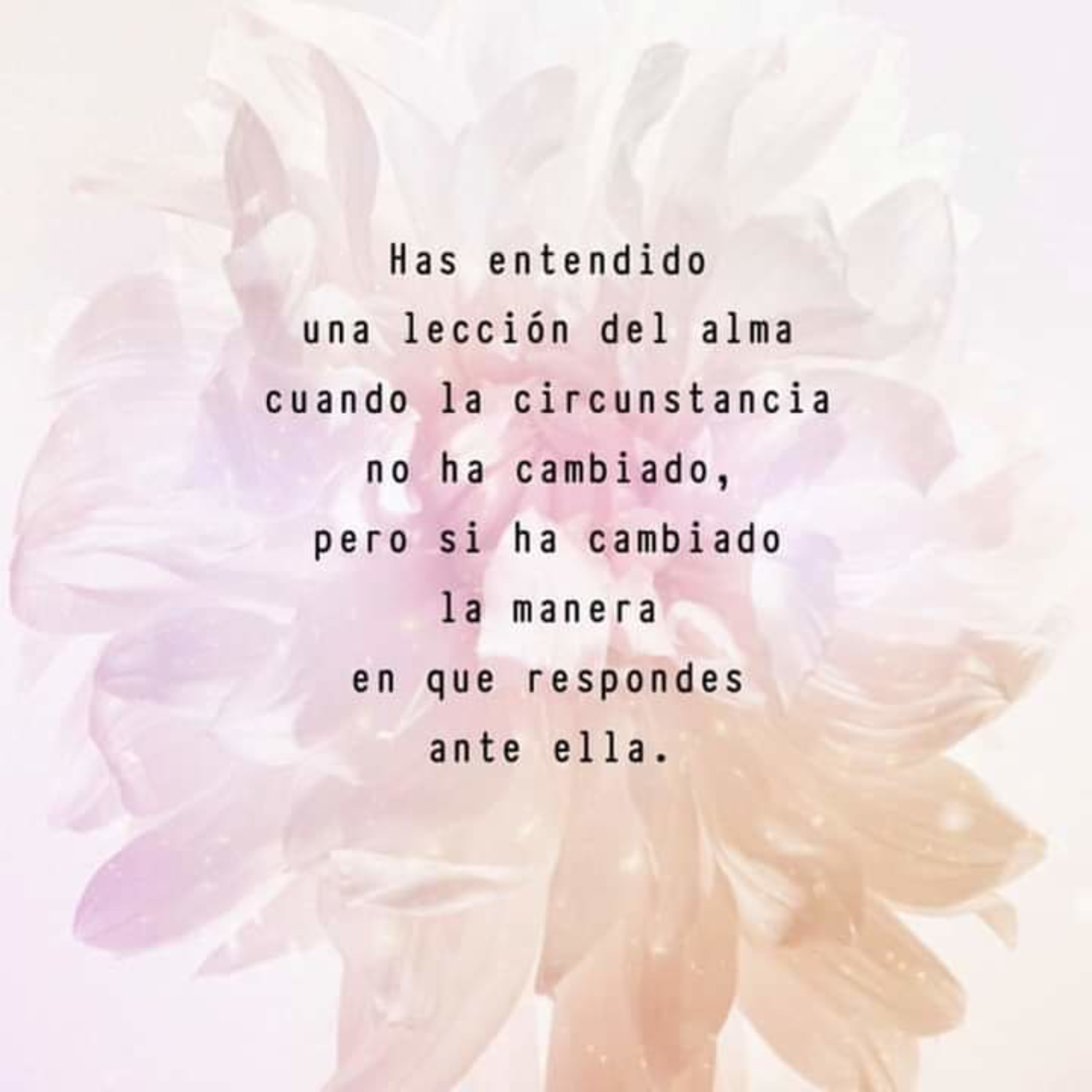 Saraí Bioterapeuta