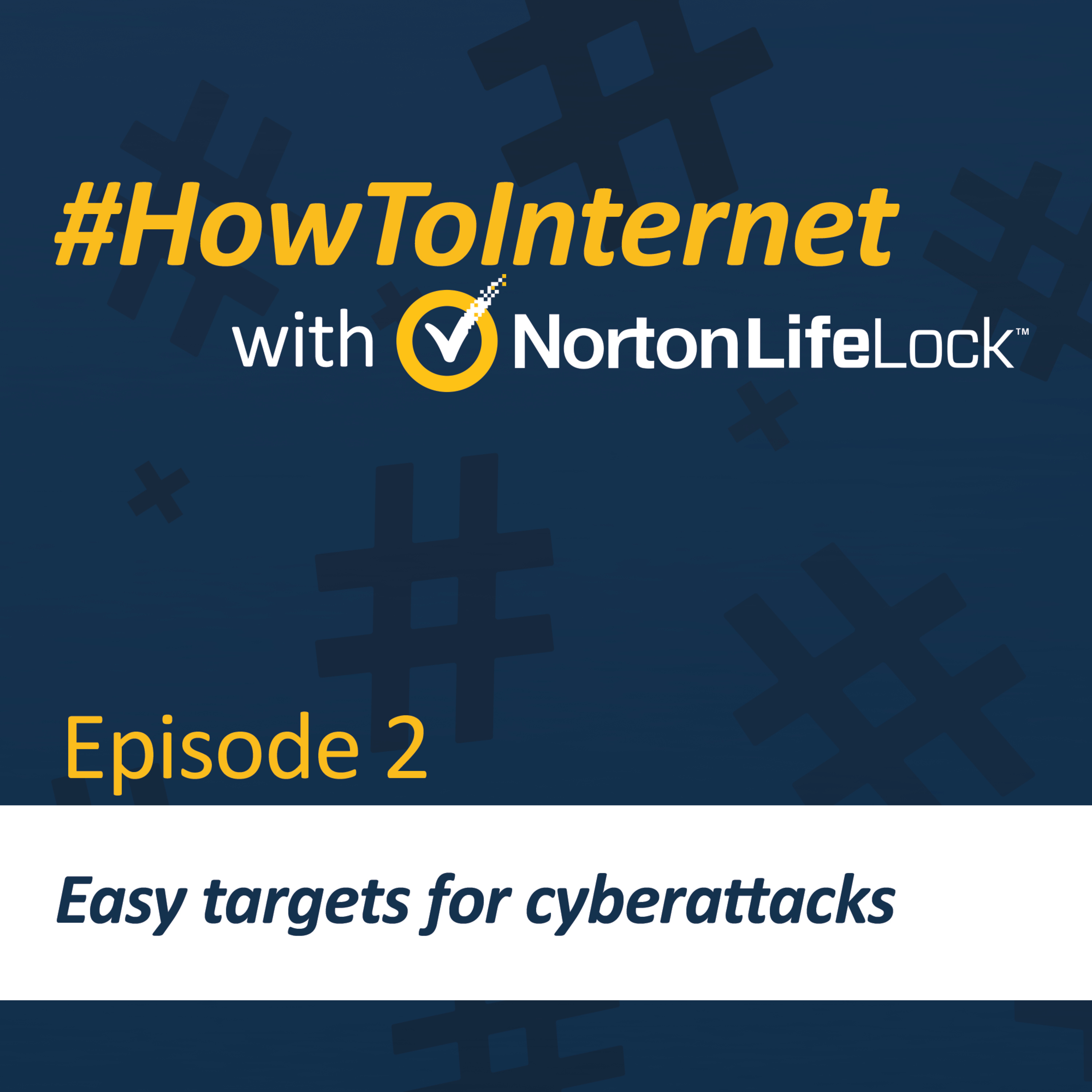 Easy targets for cyberattacks episode artwork